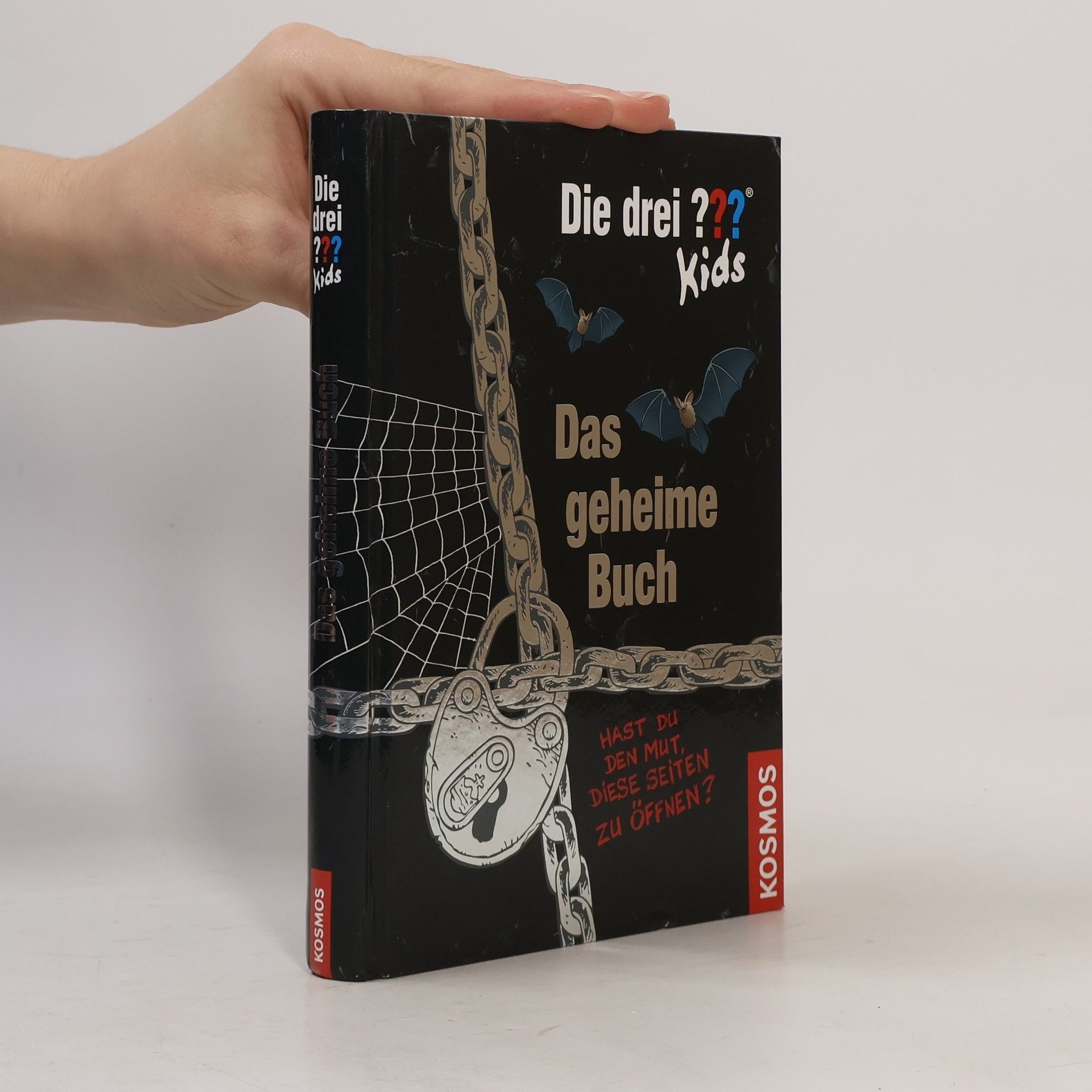 Ulf Blanck Das Geheime Buch