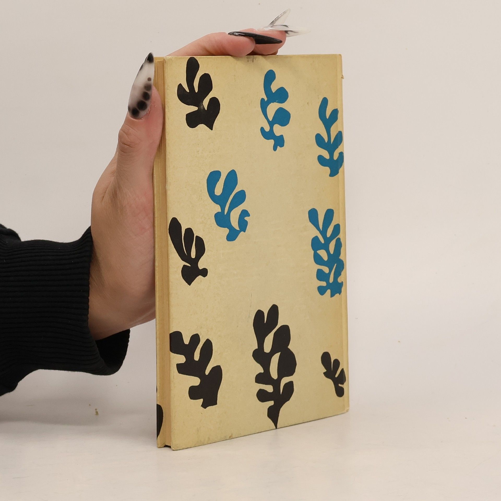 Henri Matisse Lob der Schönheit