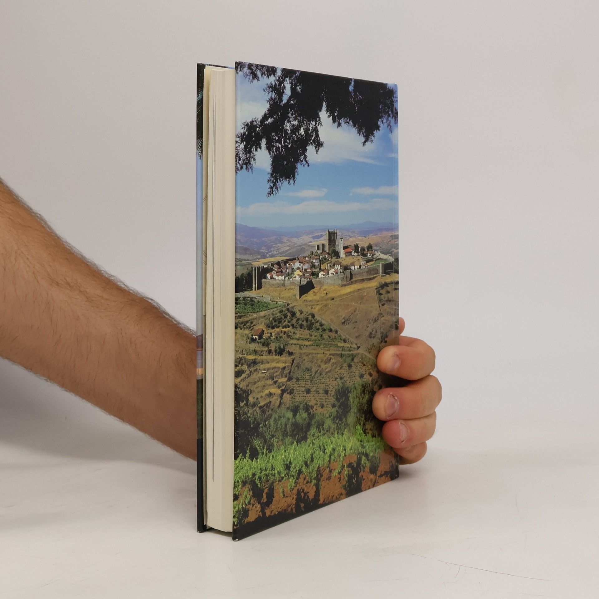 Alois Fink Portugiesisches Reisebuch