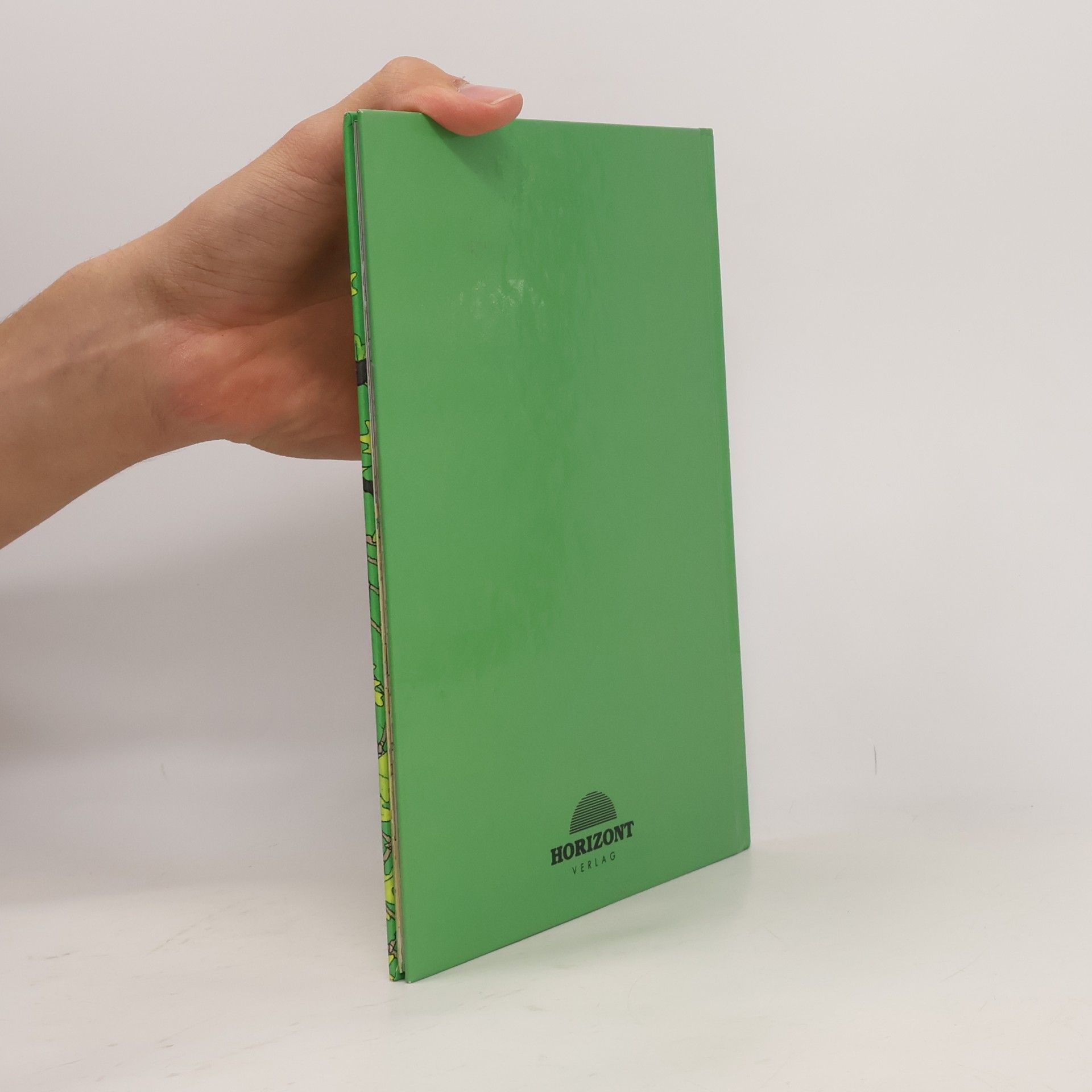 Kolektiv autorů Robin Hood und der Brief