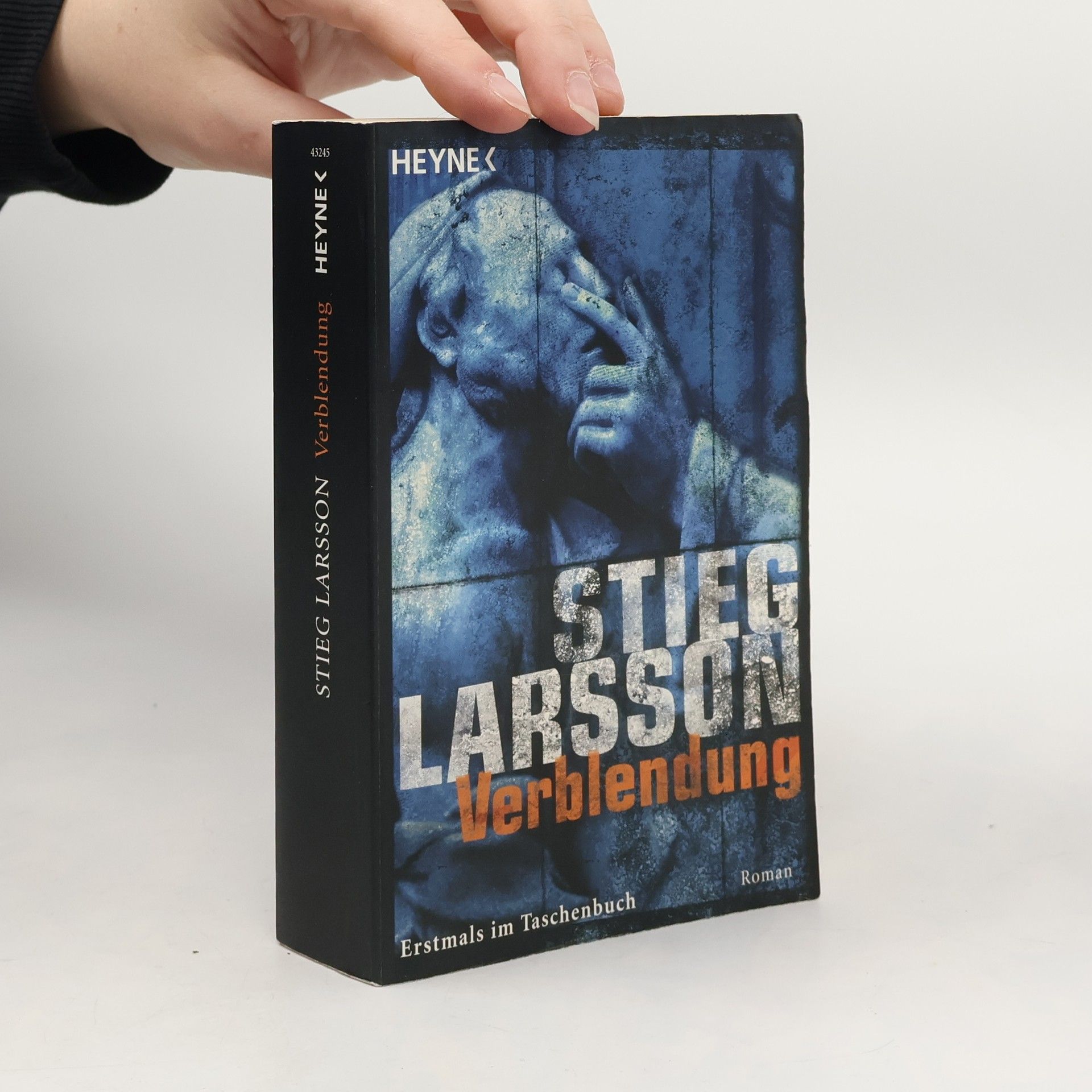 Stieg Larsson Verblendung