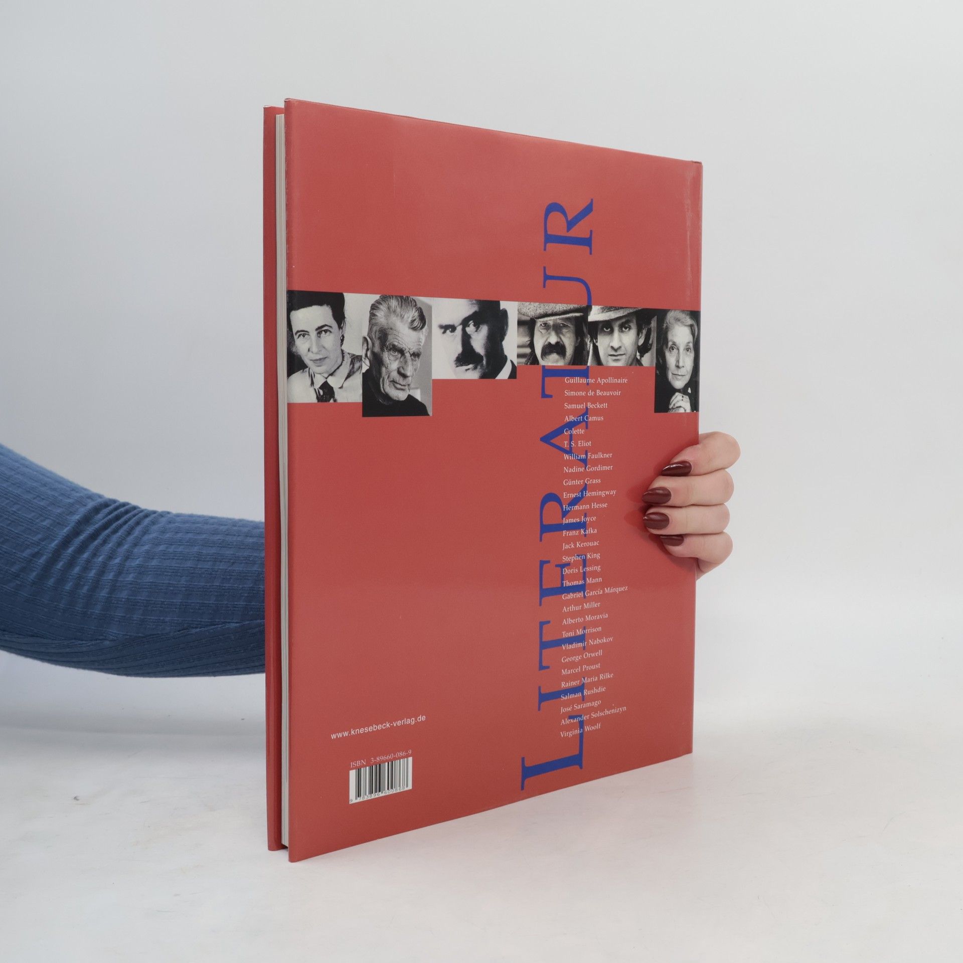 Sheena Joughin Literaturgeschichte des 20. Jahrhunderts