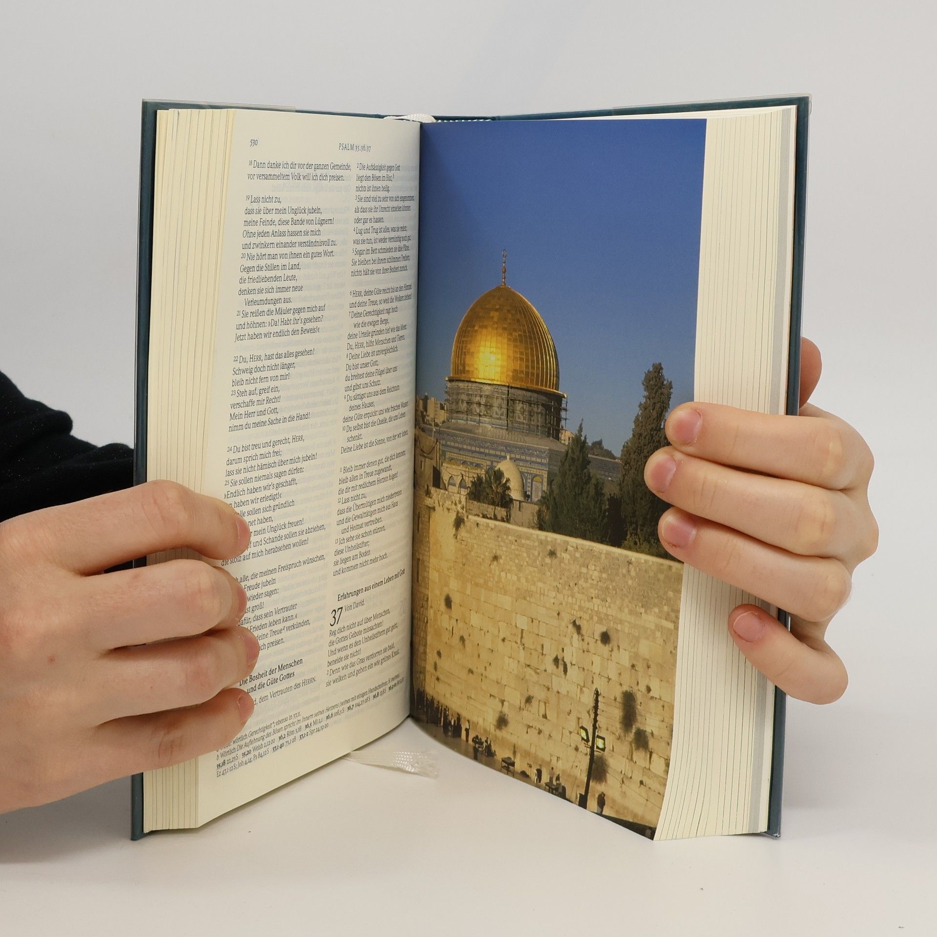 Kolektiv autorů Gute Nachricht Bibel, Standardformat, mit den Spätschriften des Alten Testaments (Nr.1655)