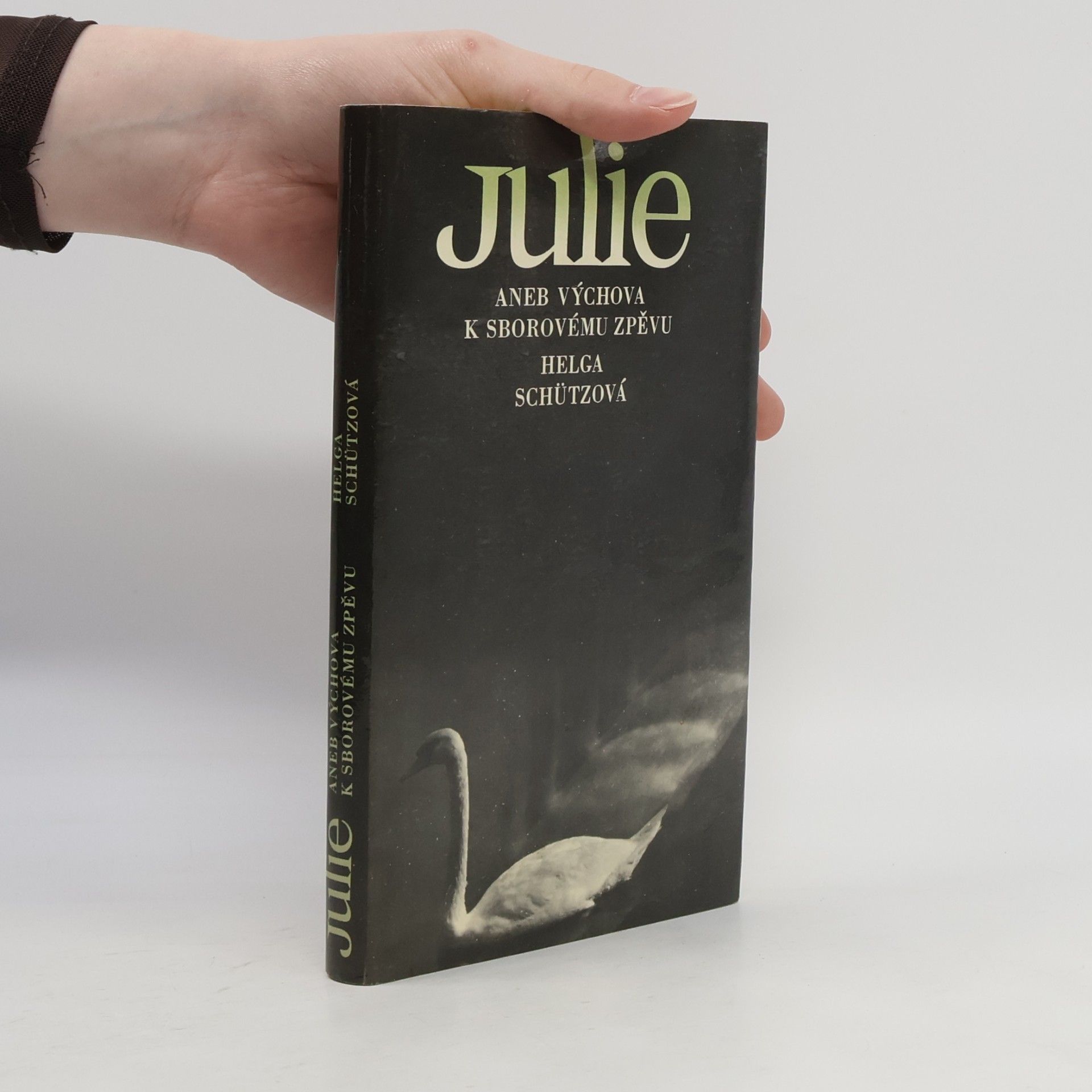 Julie aneb výchova k sborovému zpěvu