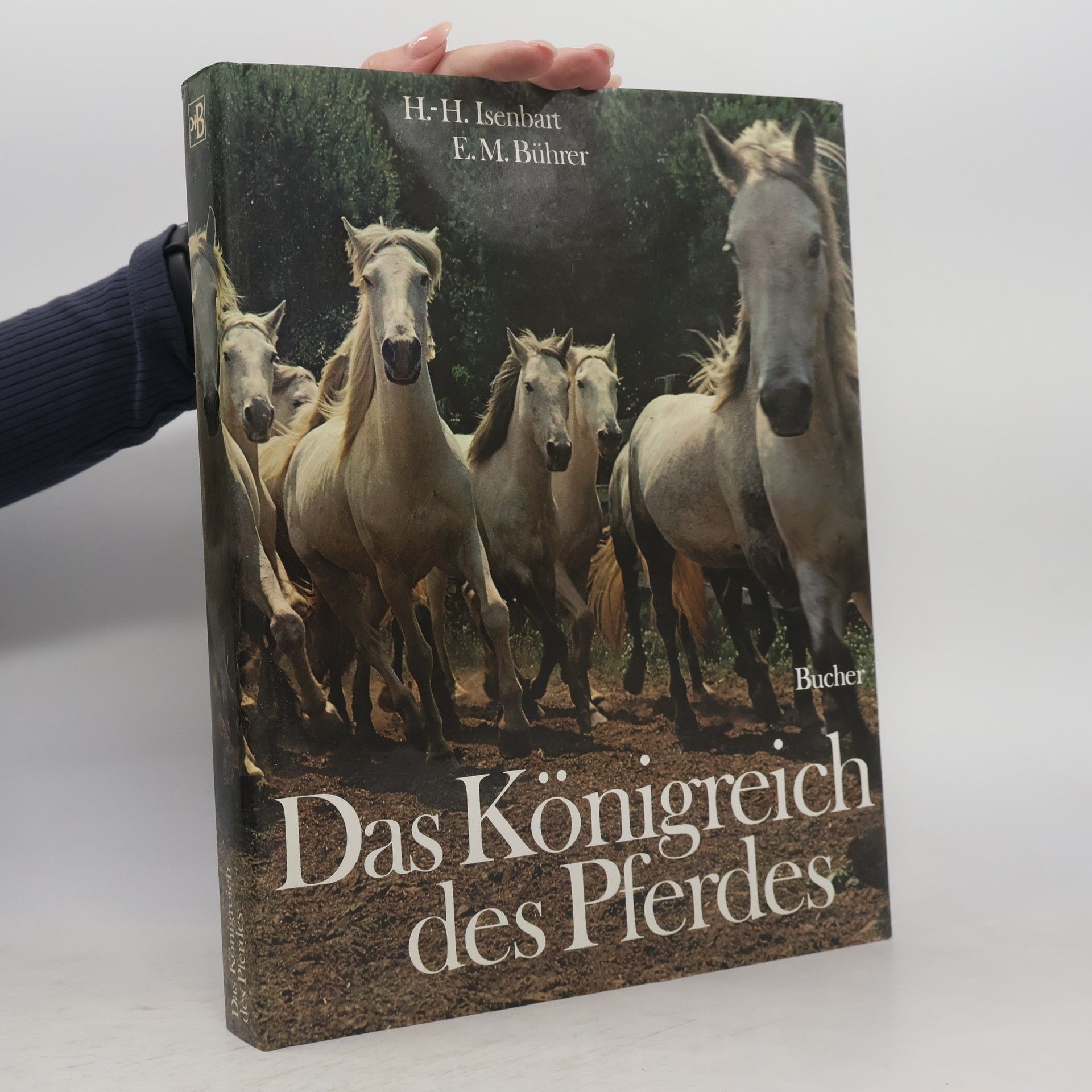 Das Königreich des Pferdes