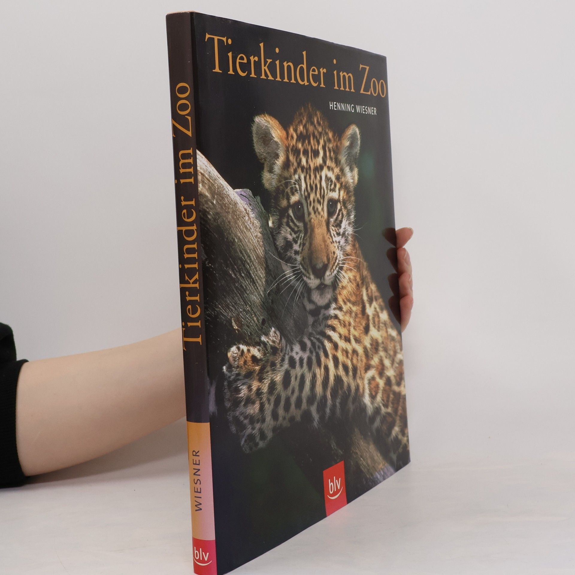 Henning Wiesner Tierkinder im Zoo