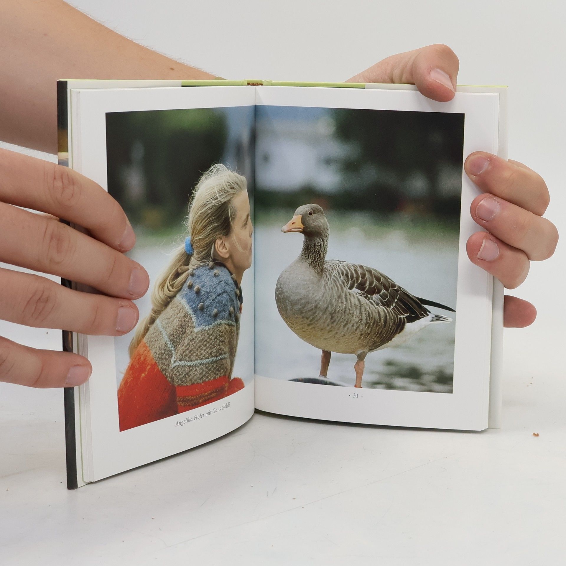 Angelika Höfer Gänse