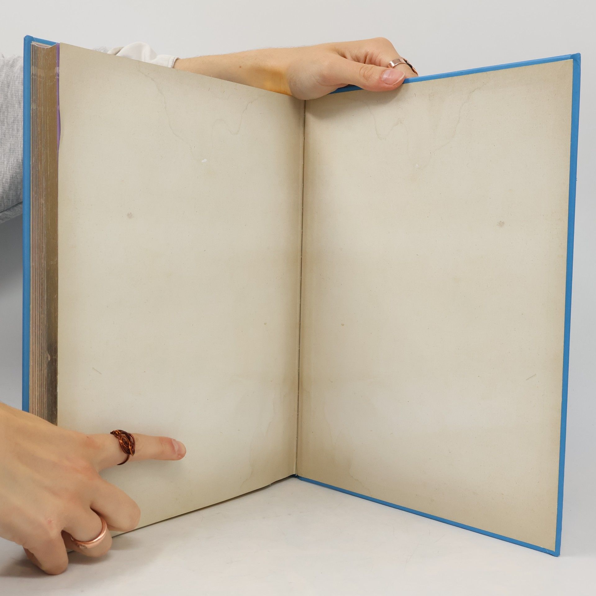 Autorenkollektiv Das grosse goldene Buch der Eiskönigin