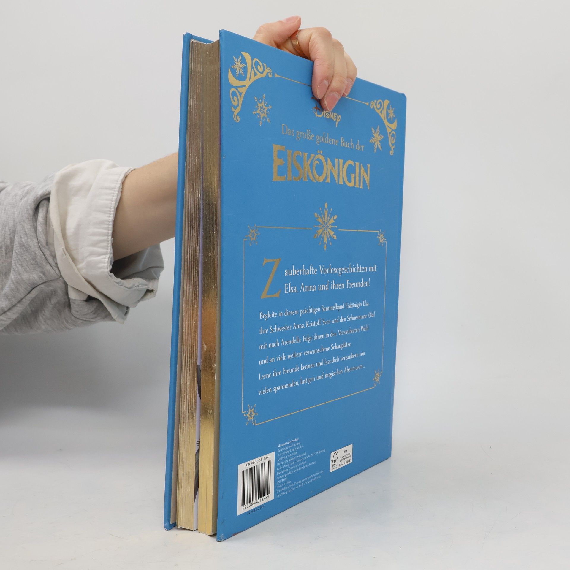 Autorenkollektiv Das grosse goldene Buch der Eiskönigin