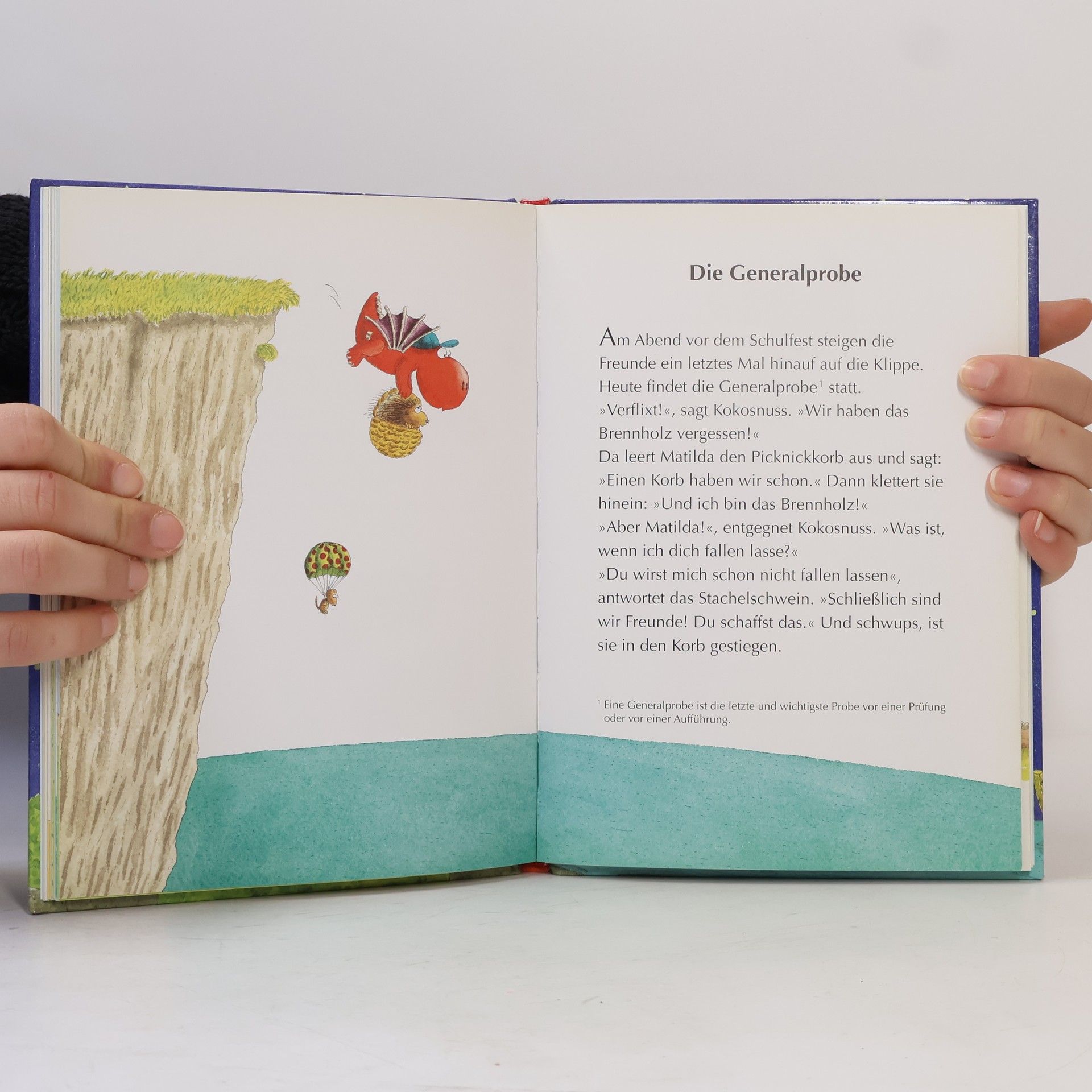 Ingo Seigner Der kleine Drache Kokosnuss - Schulfest auf dem Feuerfelsen