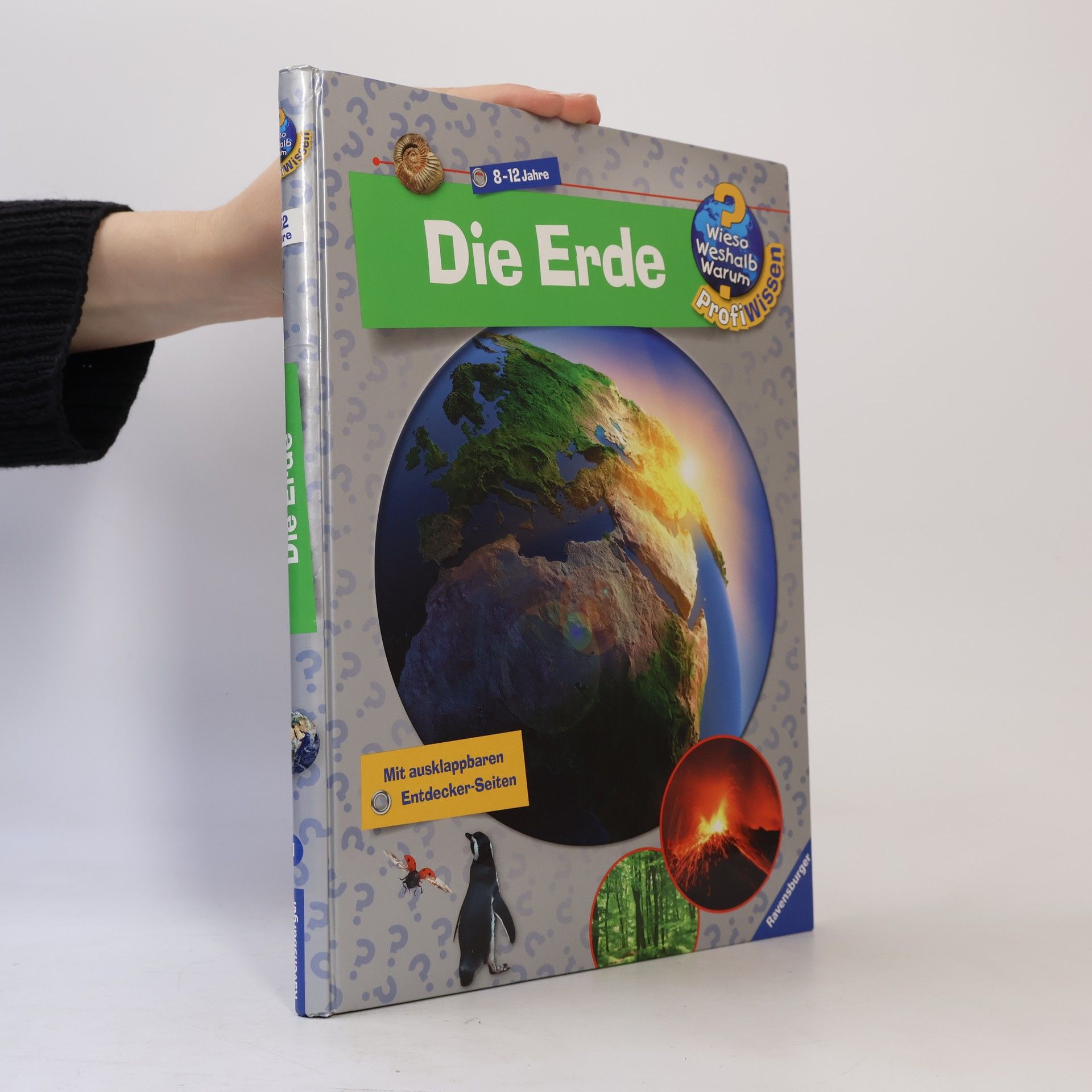 Andrea Erne Die Erde