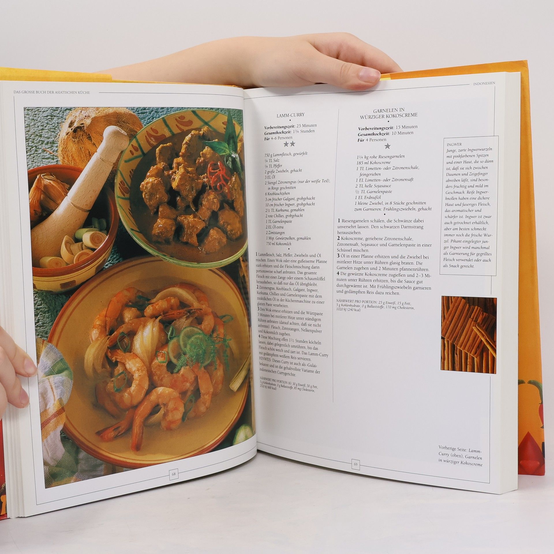 Ina Breuing Das grosse Buch der asiatischen Küche