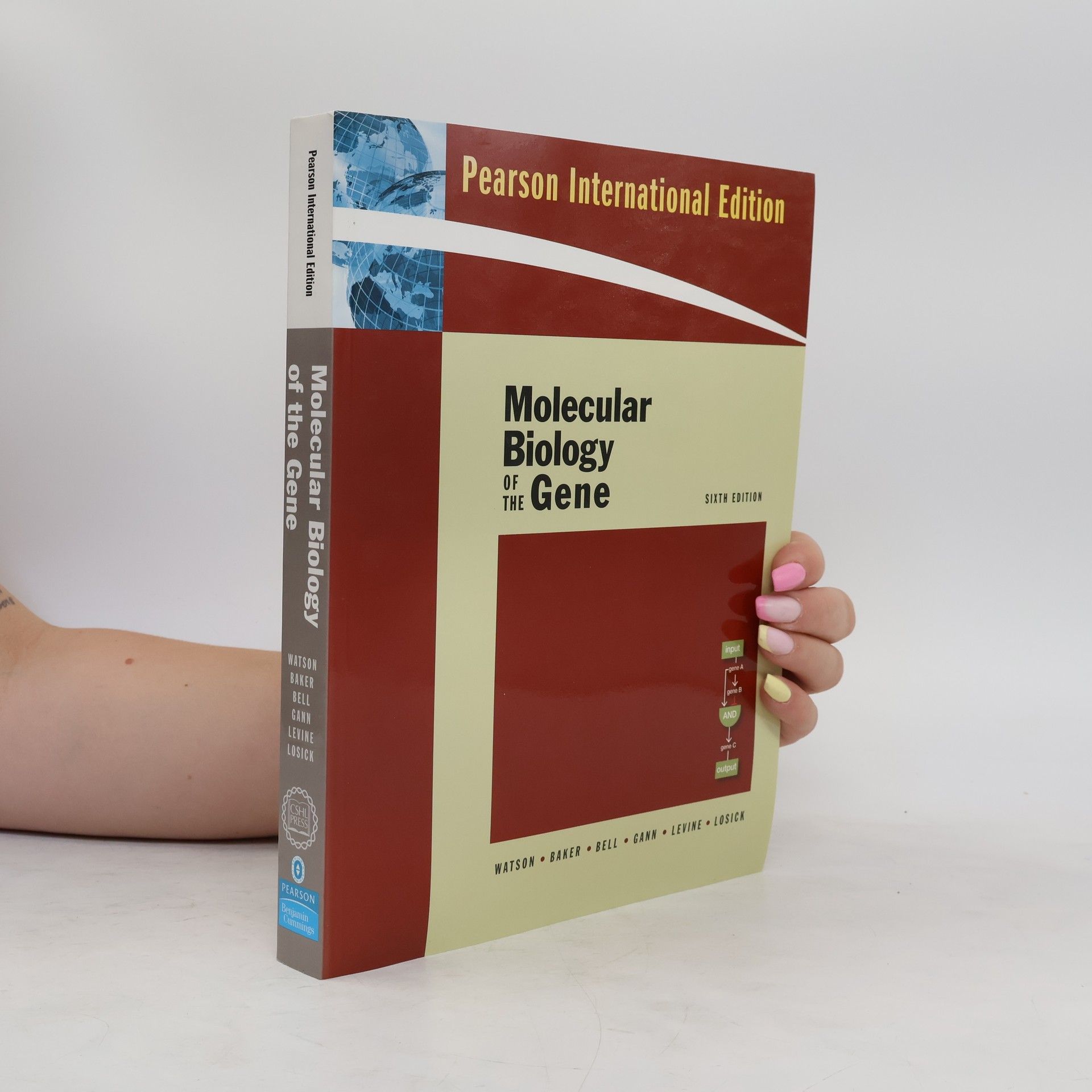 Inglis Pearson International Edition: Molecular Biology of the Gene: Sixth Edition