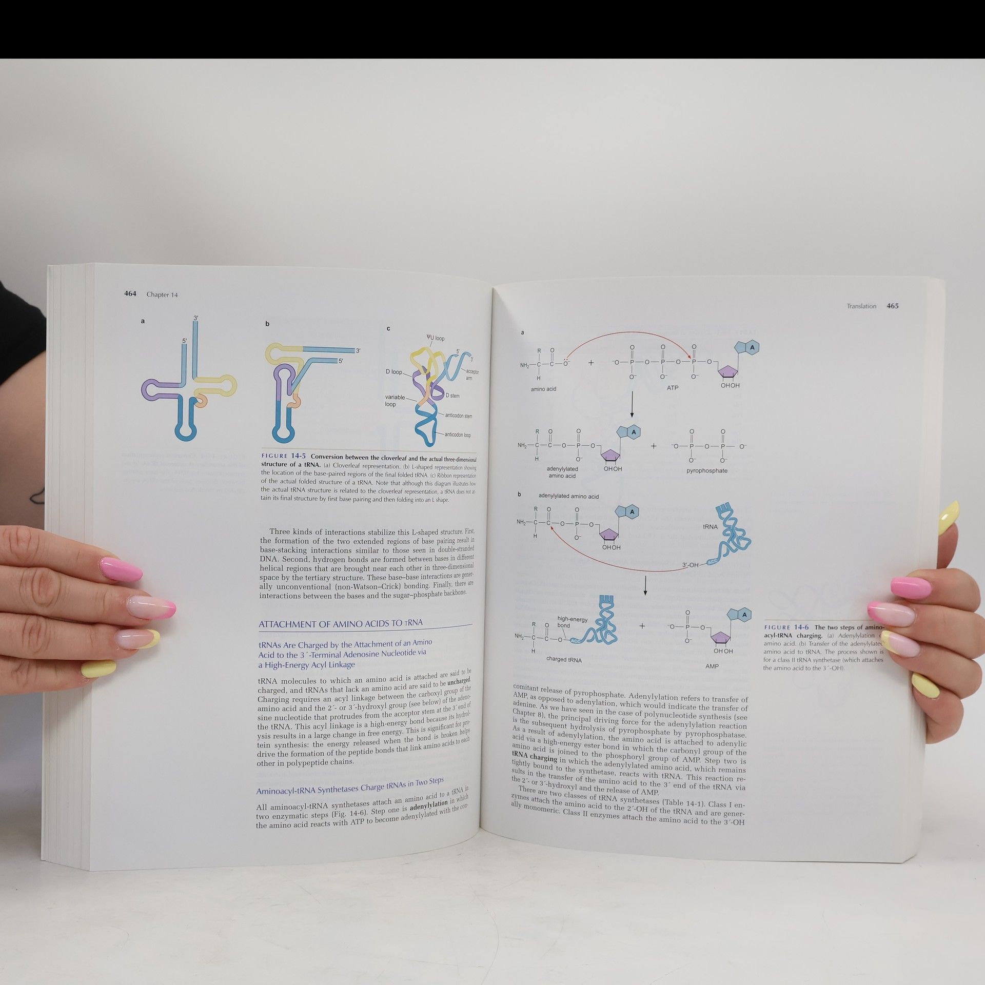 James Dewey Watson Pearson International Edition: Molecular Biology of the Gene: Sixth Edition