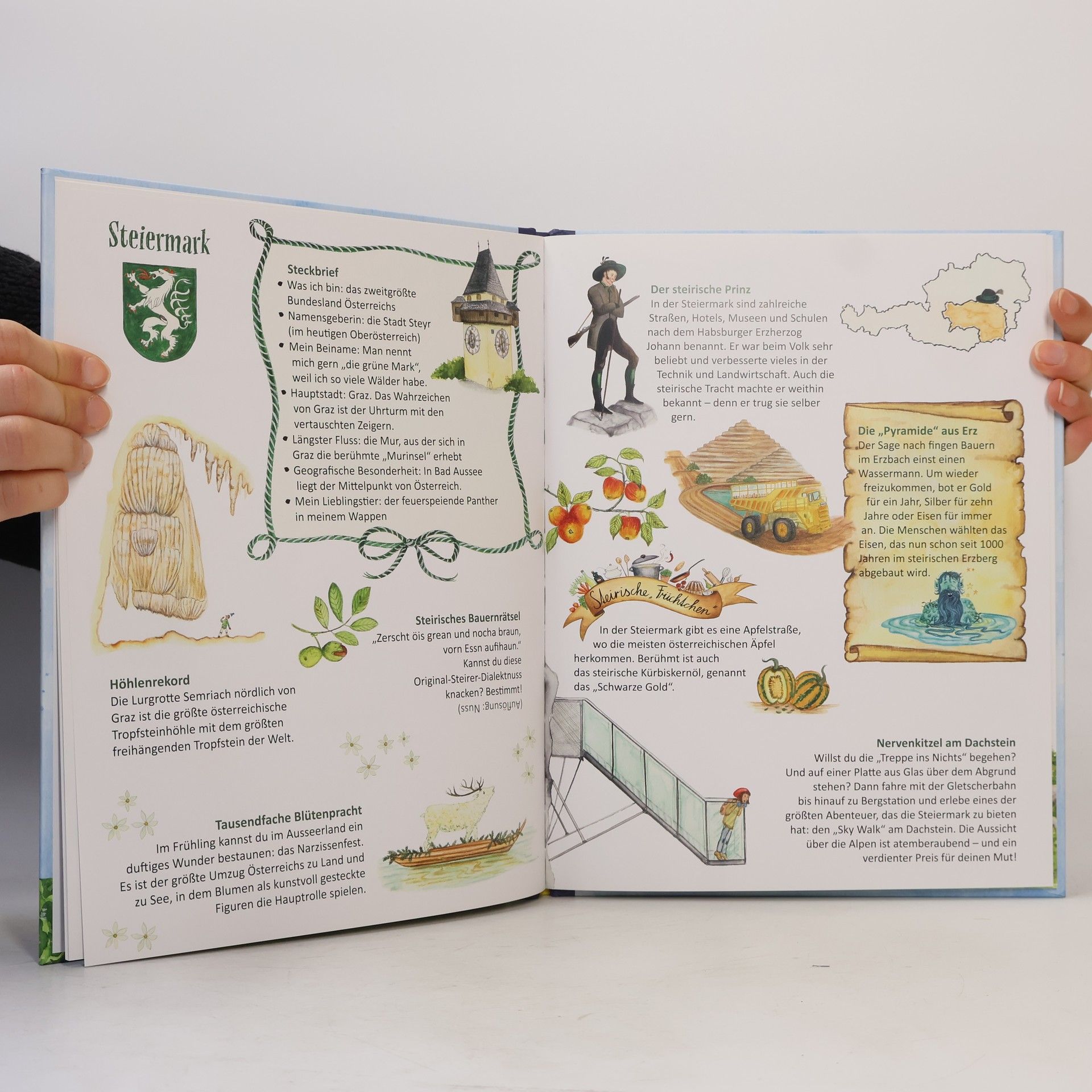 Susa Hämmerle Mein Österreich-Buch