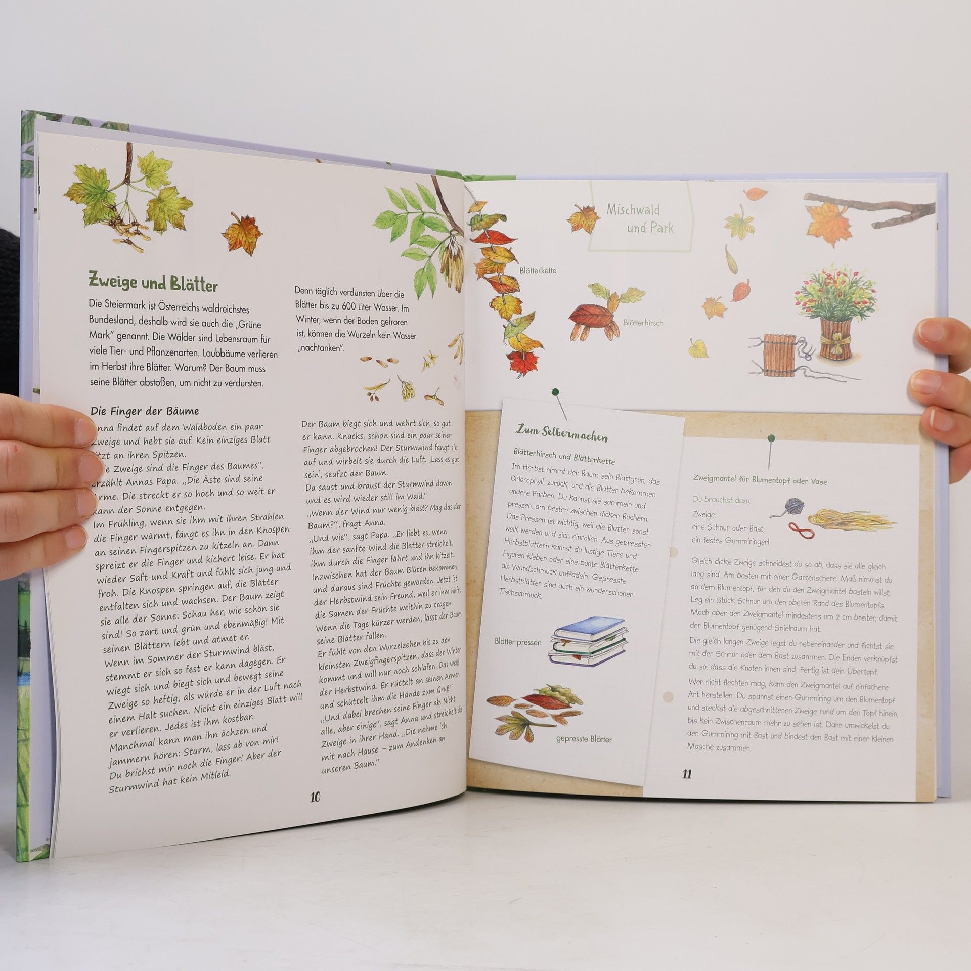 Christine Kettl Mein großes Naturbuch aus Österreich