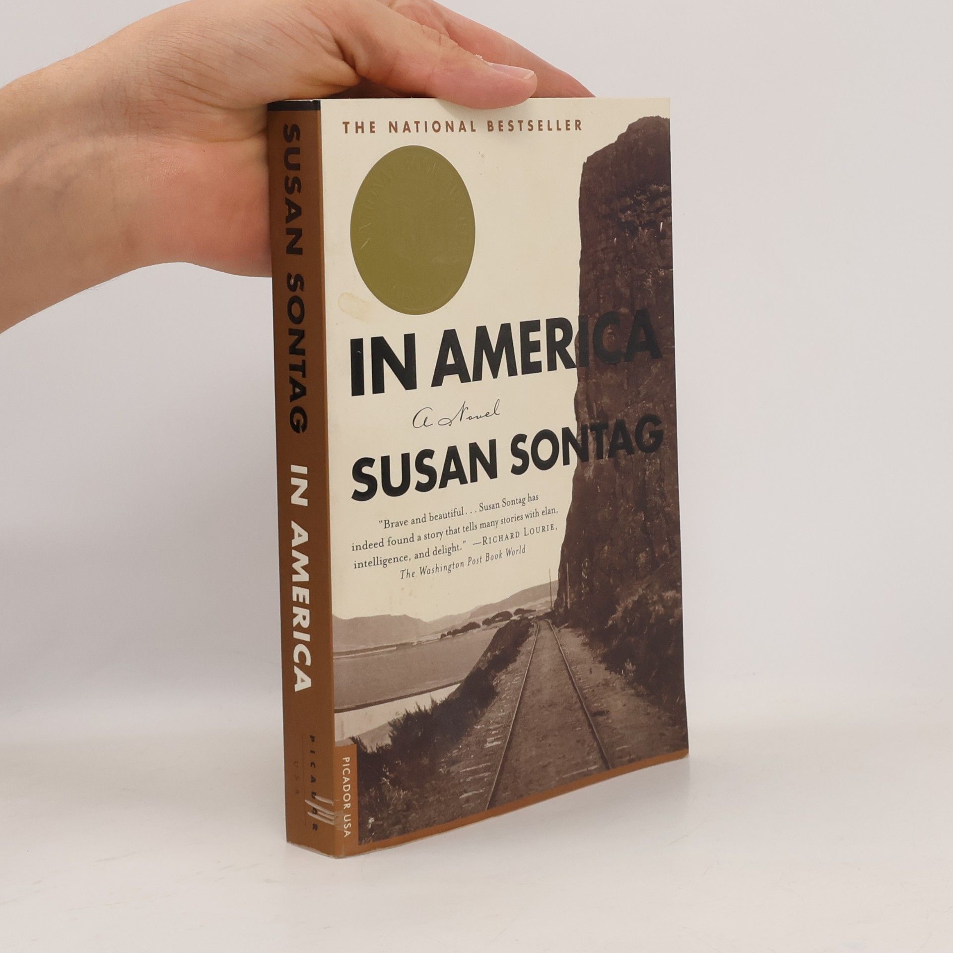 Susan Sontag In America