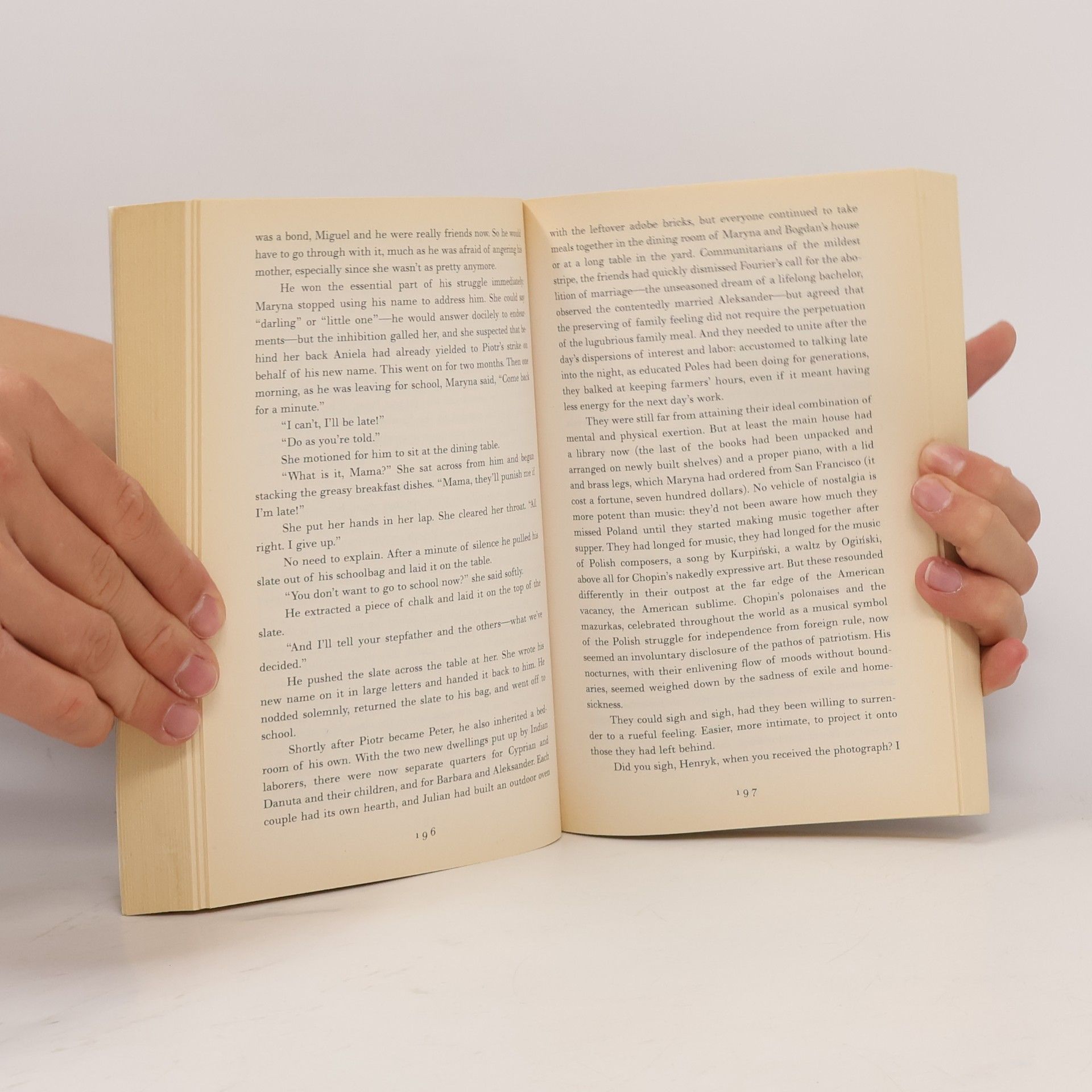 Susan Sontag In America