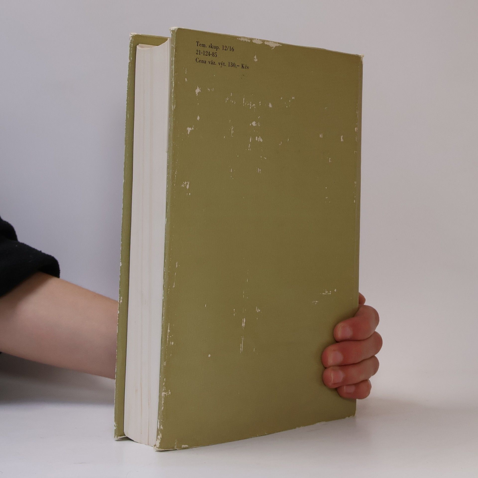 Autorenkollektiv Lexikon české literatury 1. A - G