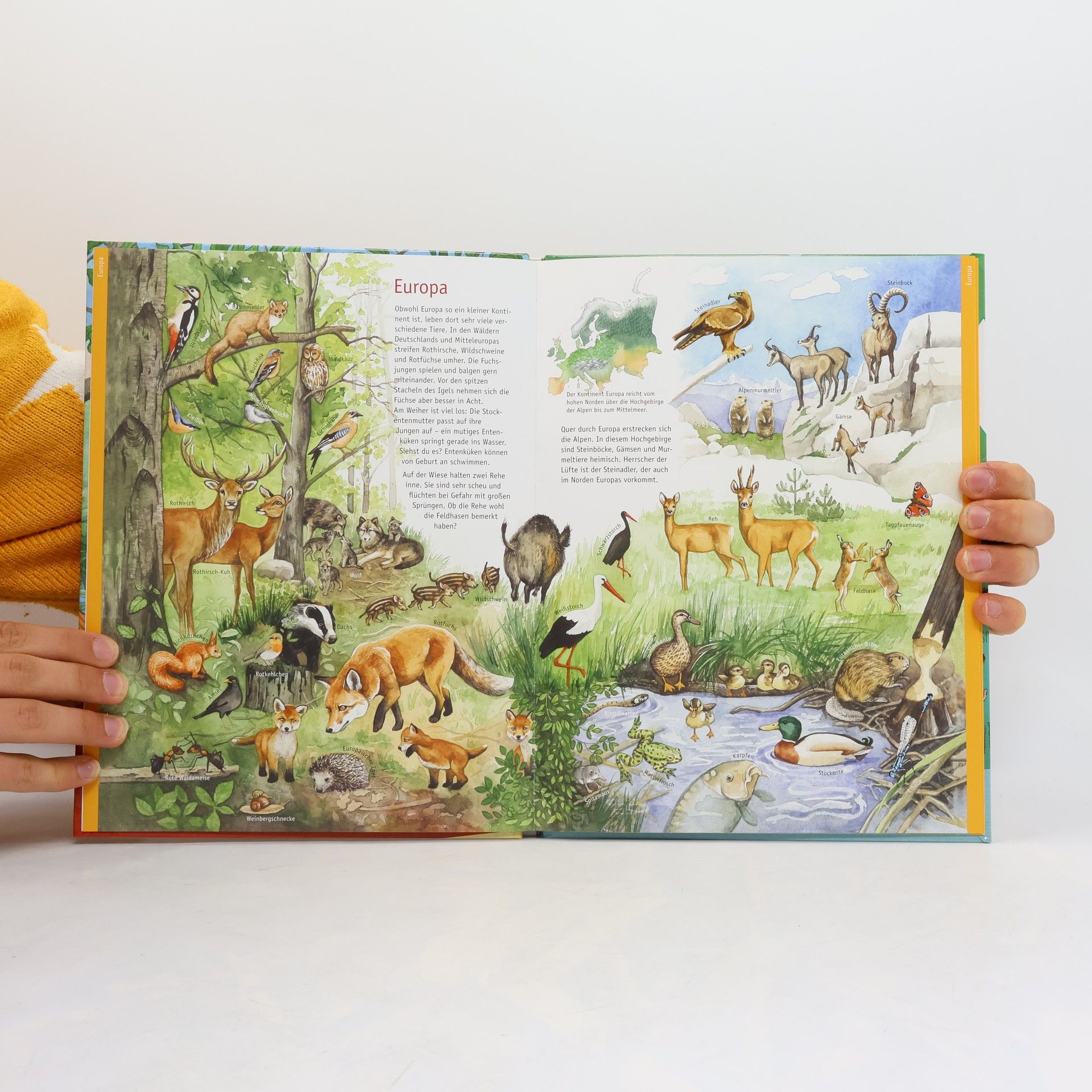 AA.VV. Mein großer Atlas der Erde und ihrer Tiere