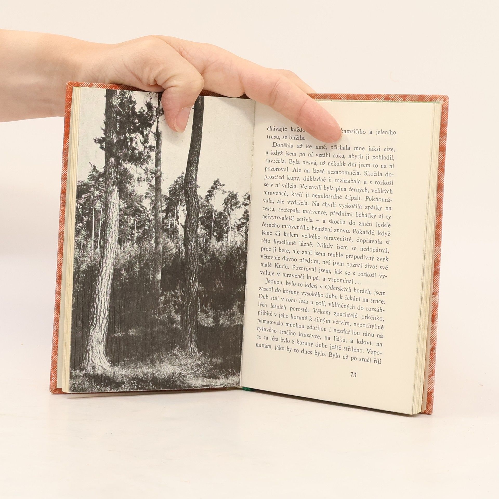 František Fric Kudu větevnice
