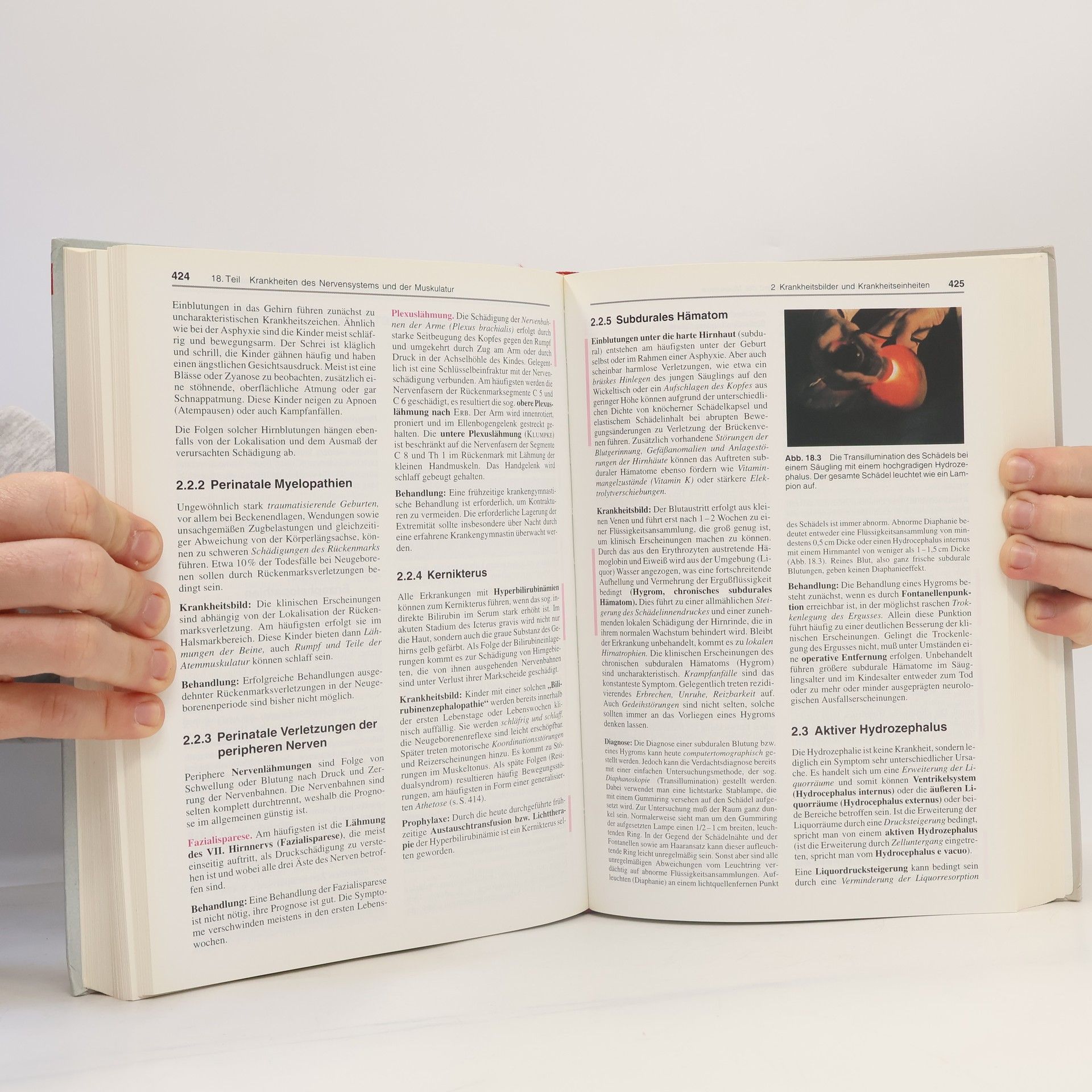 Dieter Lüders Lehrbuch für Kinderkrankenschwestern, 2 Bde., Bd.2, Das kranke Kind und seine Behandlung - 12. Auflage