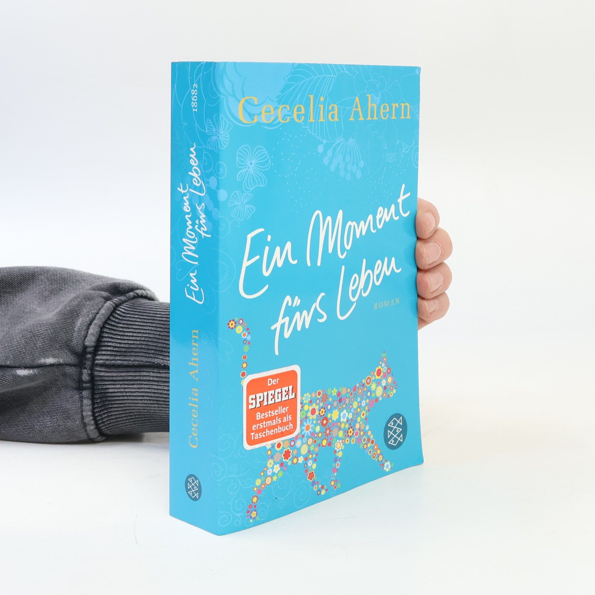 Cecelia Ahern Ein Moment fürs Leben