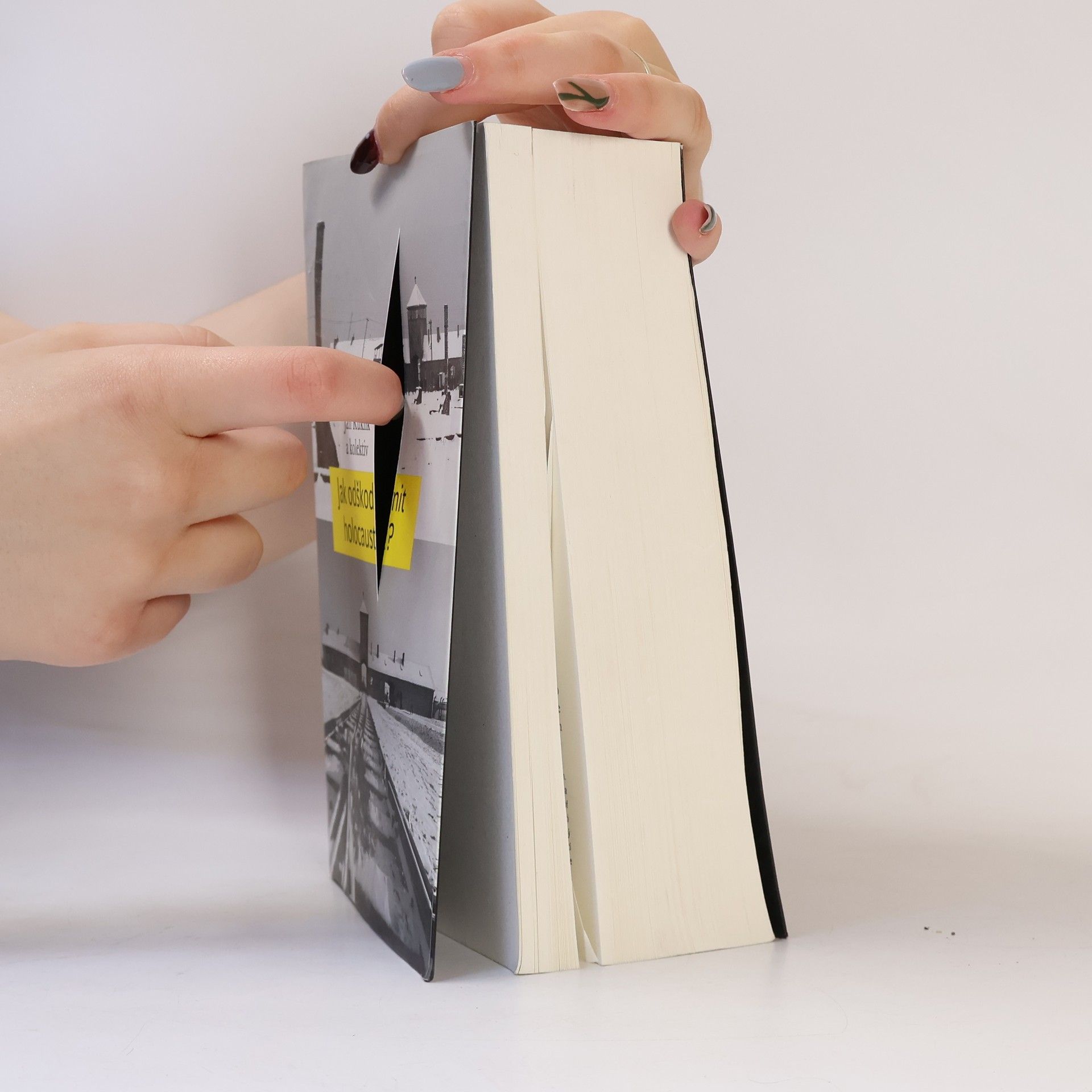 Autores varios Jak odškodnit holocaust?