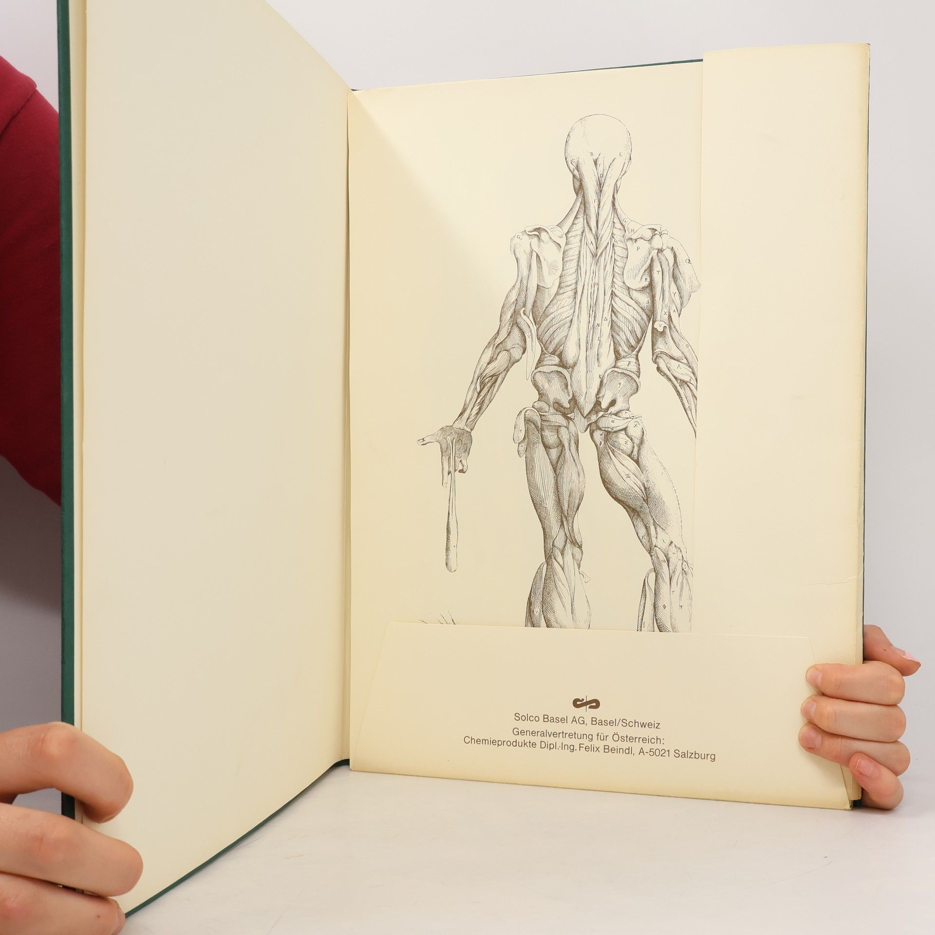 Various authors Andreas Vesalius