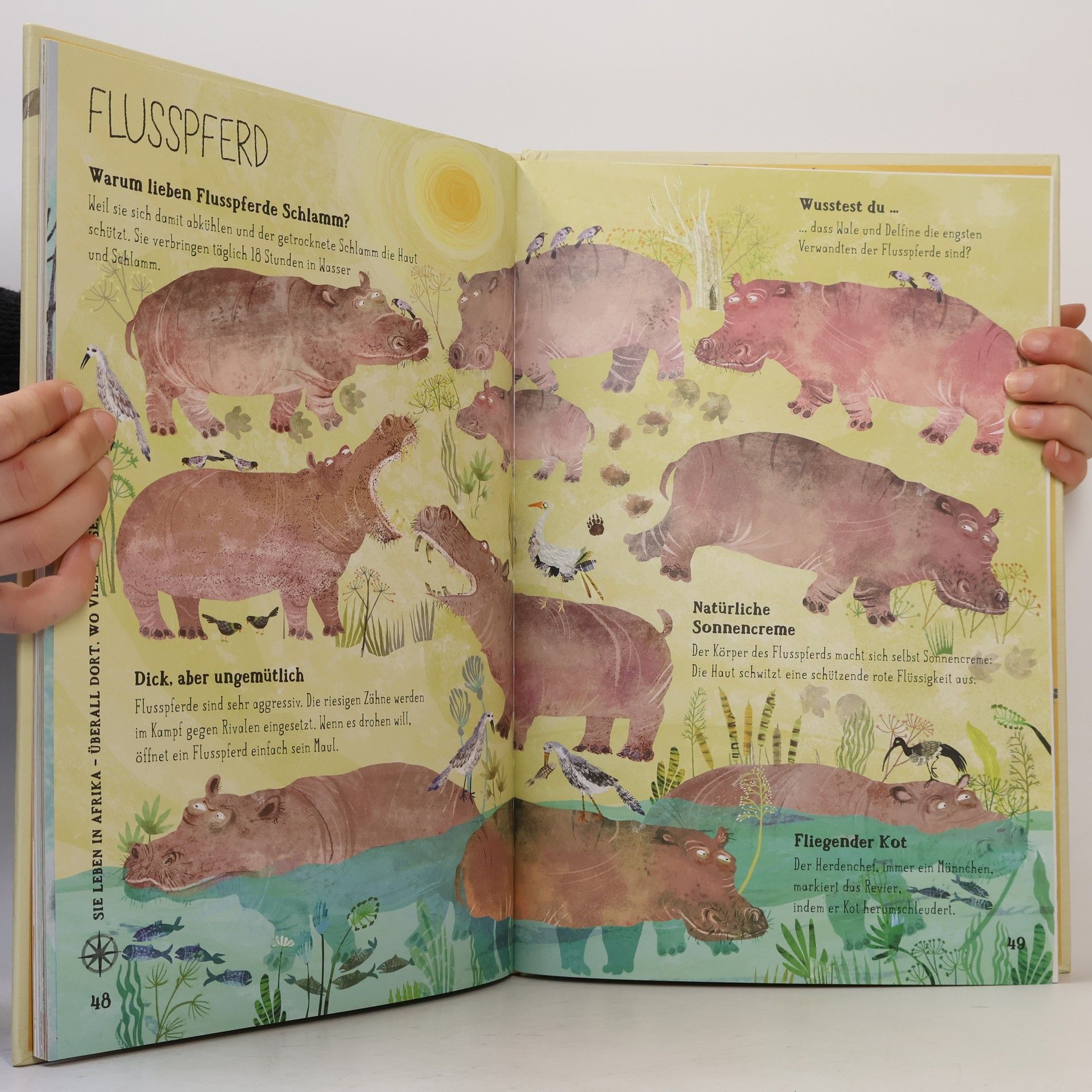 Yuval Zommer Das große Buch der wilden Tiere