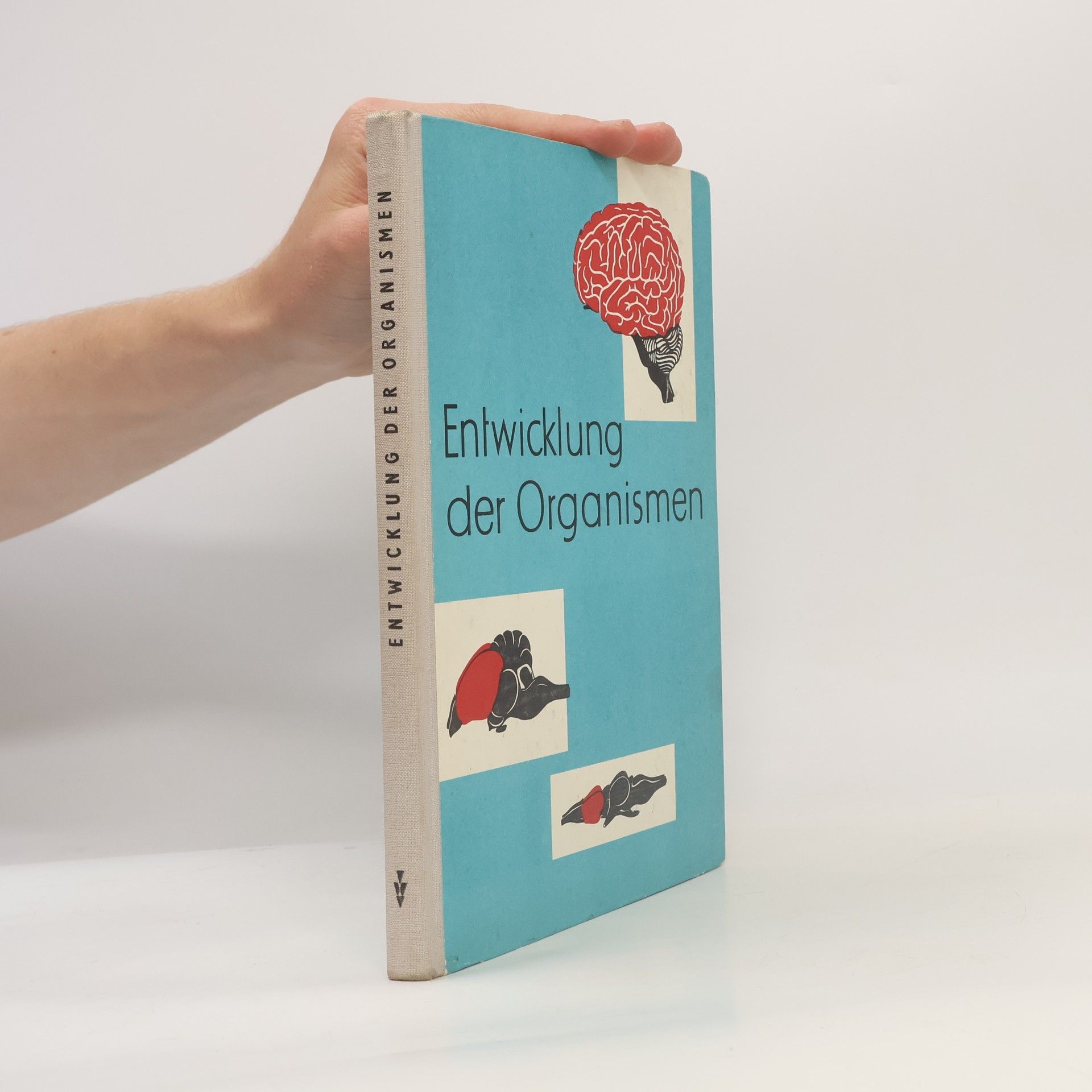 Autorenkollektiv Entwicklung der Organismen