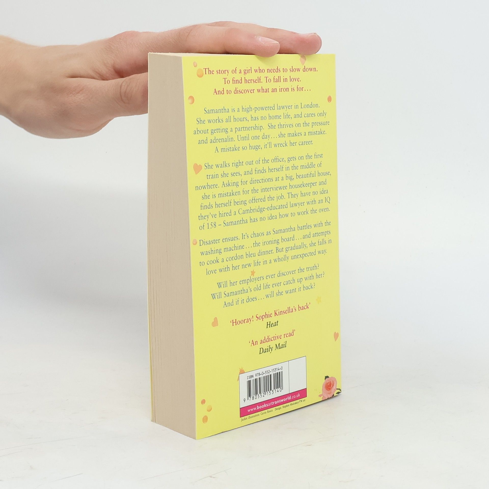 Sophie Kinsella The Undomestic Goddess