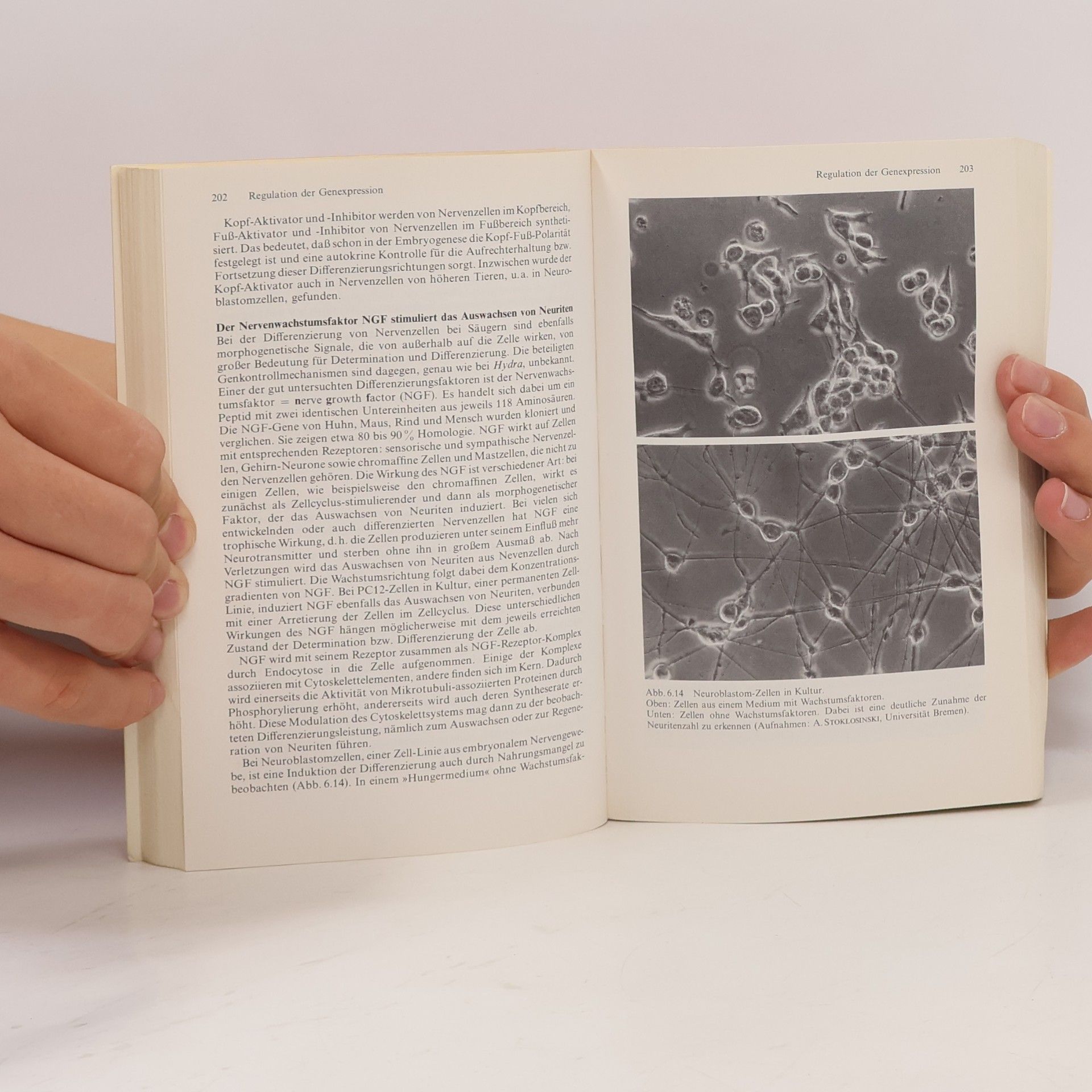 Ludger Rensing Grundlagen der Zellbiologie