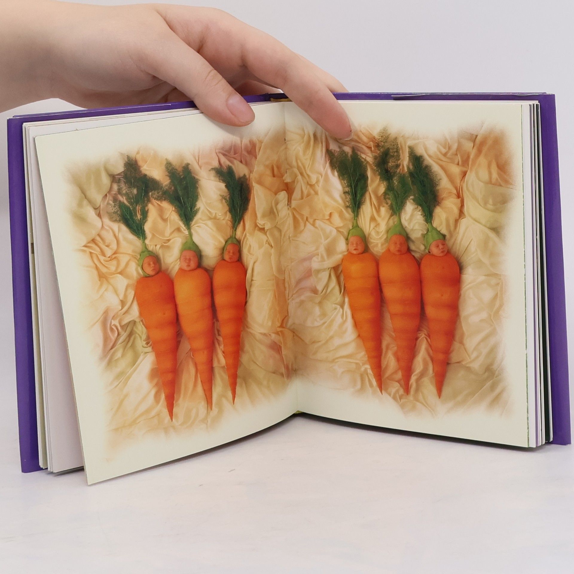 Anne Geddes Compact