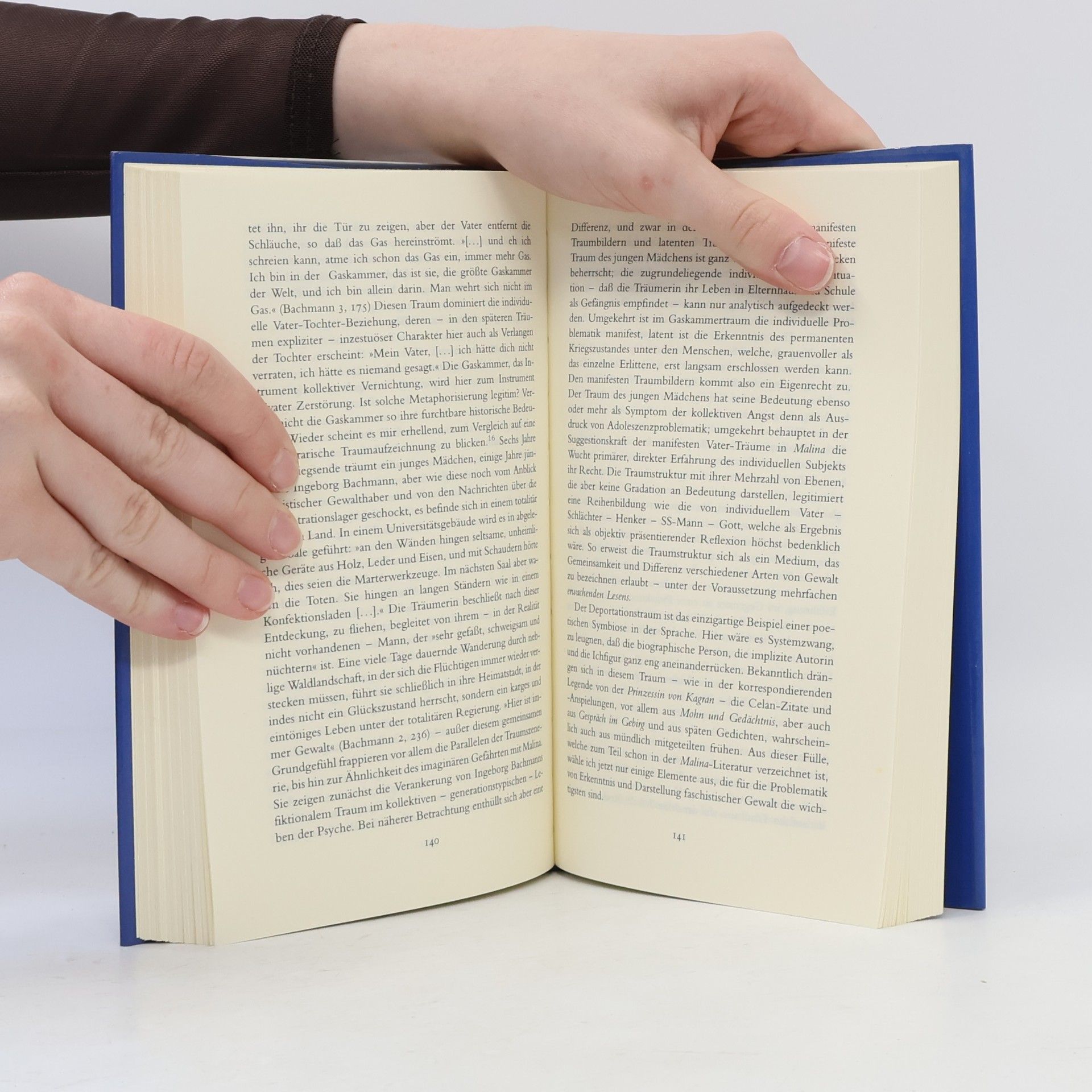 Ingeborg Bachmann Poetische Korrespondenzen