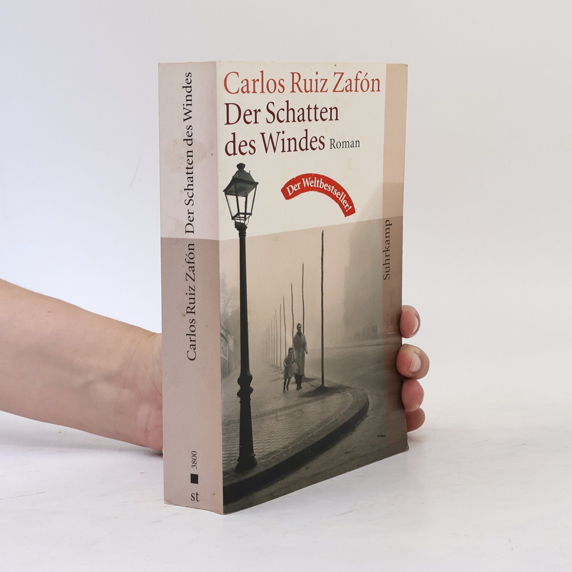 Carlos Ruiz Zafón Der Schatten des Windes