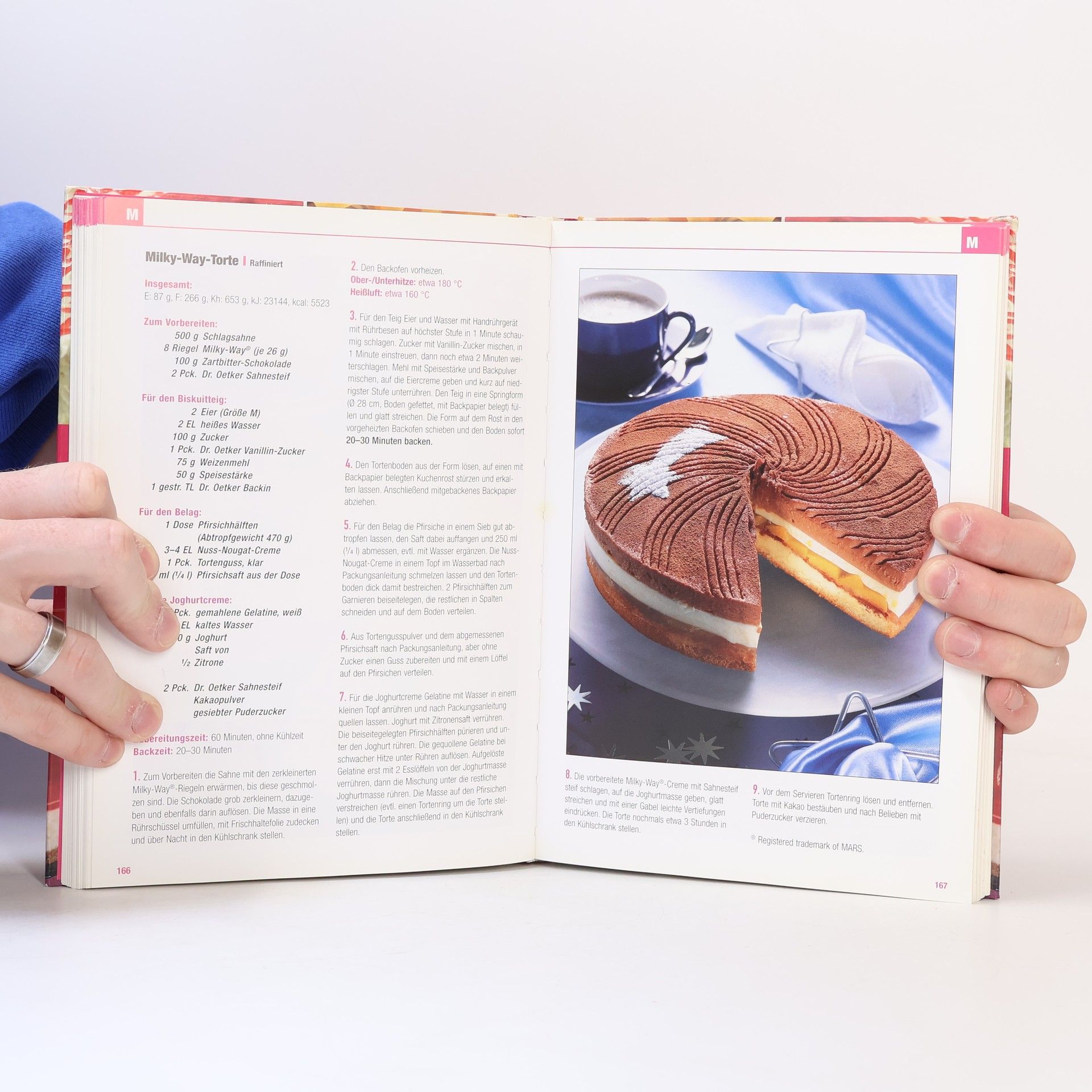 Collectif d'auteurs Dr. Oetker. Tortengeflüster