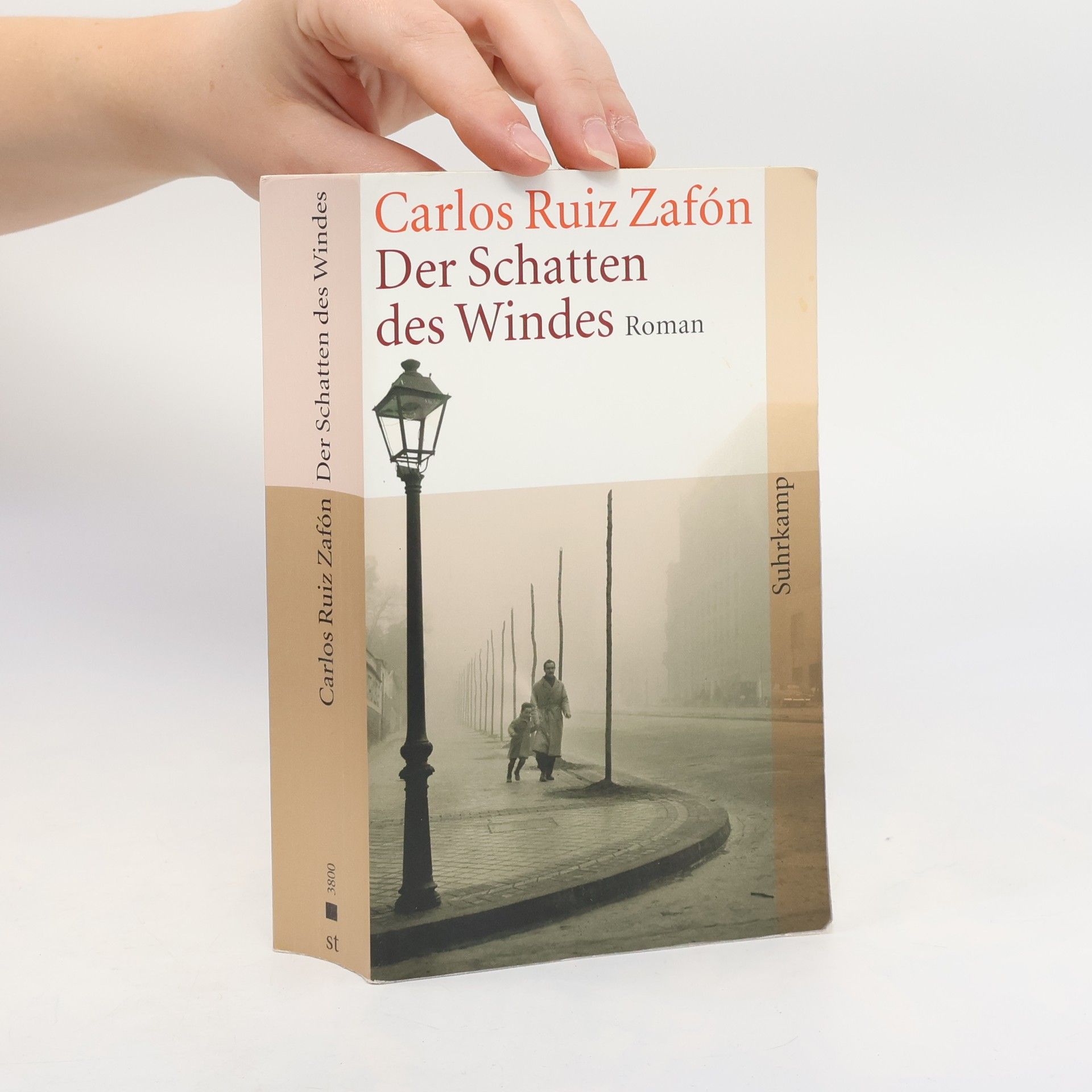 Der Schatten des Windes