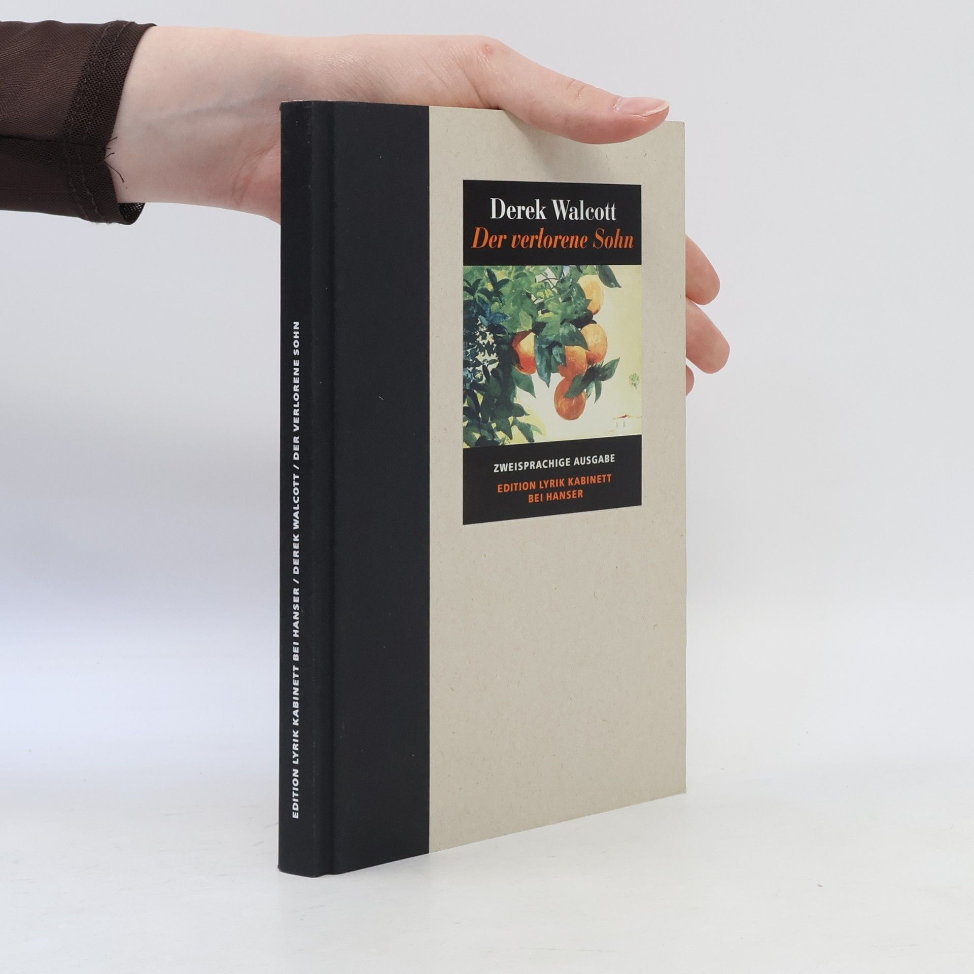 Daniel Göske Der verlorene Sohn. Edition Lyrik Kabinett: Zweisprachige Ausgabe
