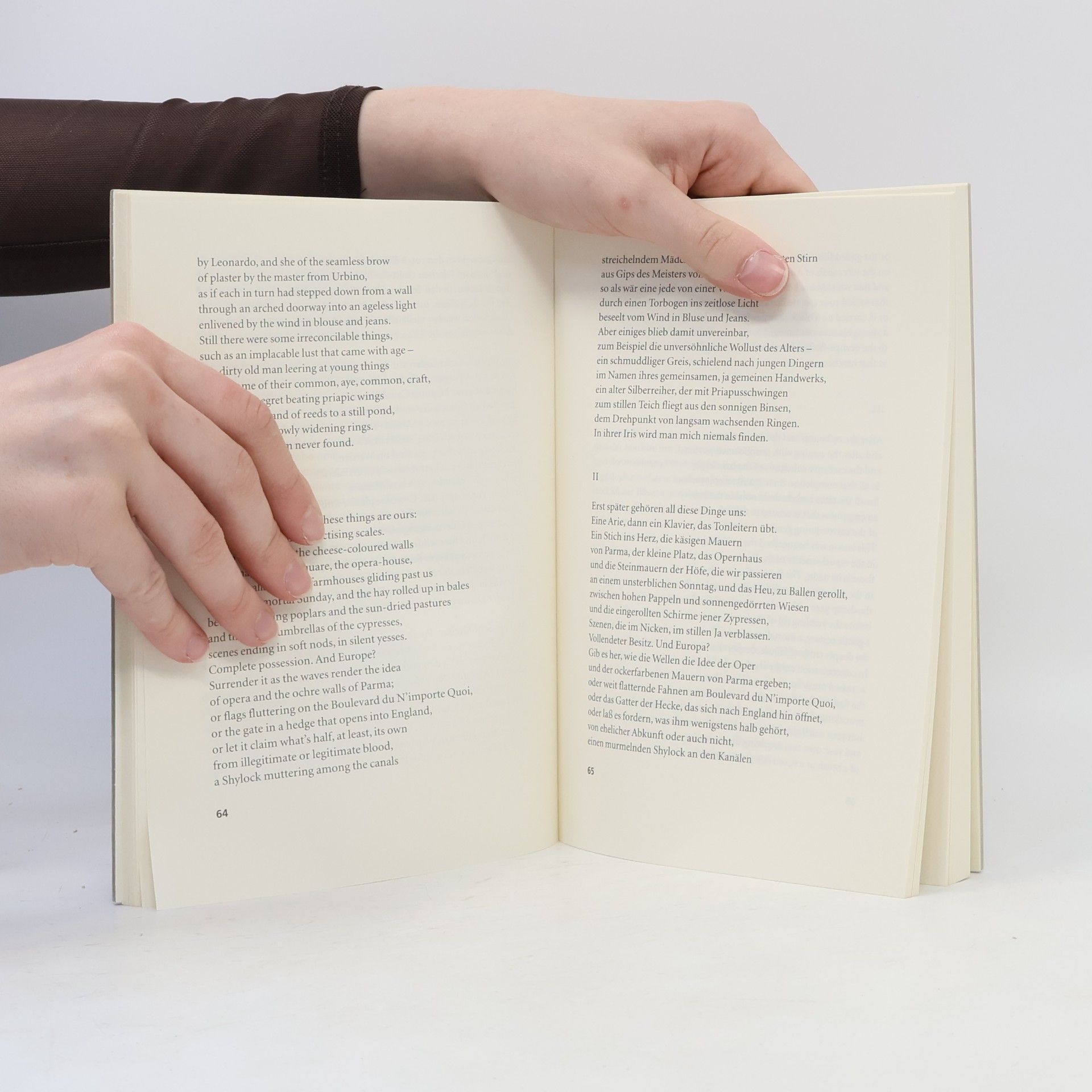 Derek Walcott Der verlorene Sohn. Edition Lyrik Kabinett: Zweisprachige Ausgabe