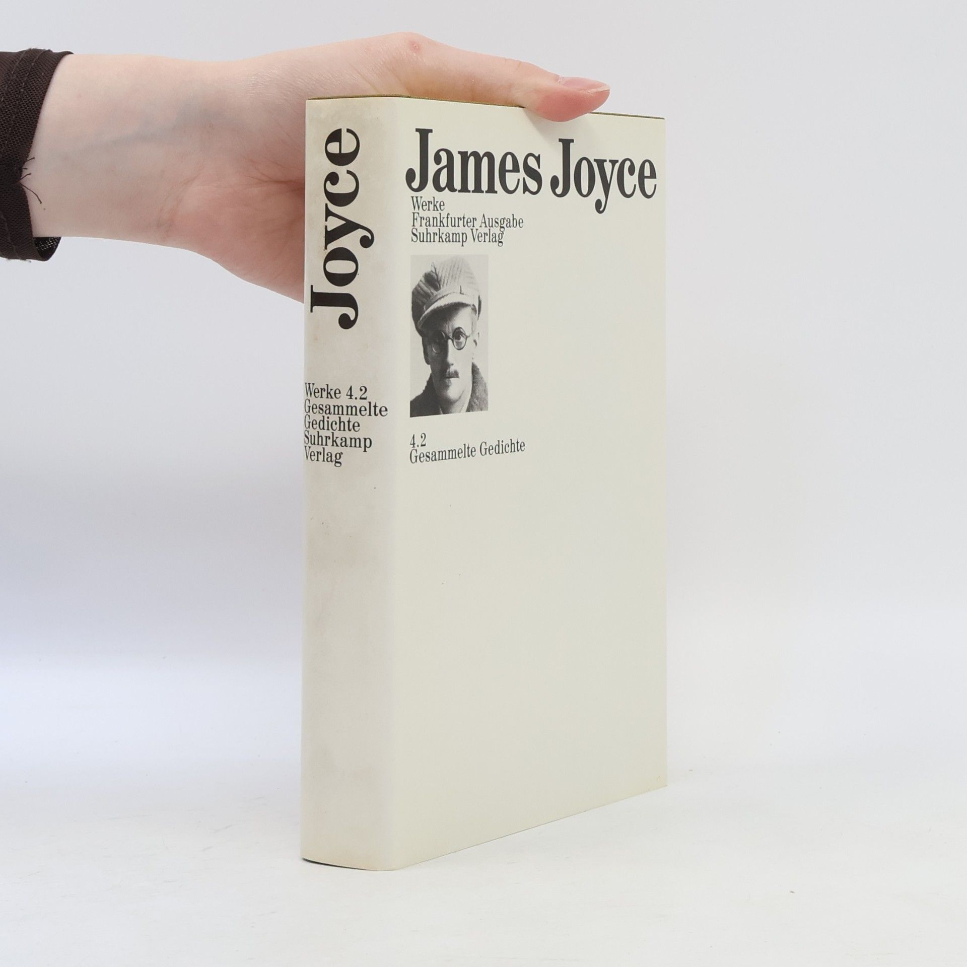 James Joyce Werke - 4.2: Gesammelte Gedichte