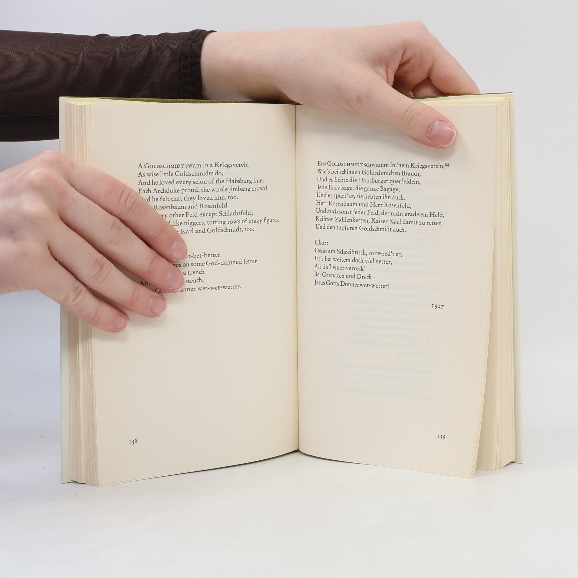 James Joyce Werke - 4.2: Gesammelte Gedichte