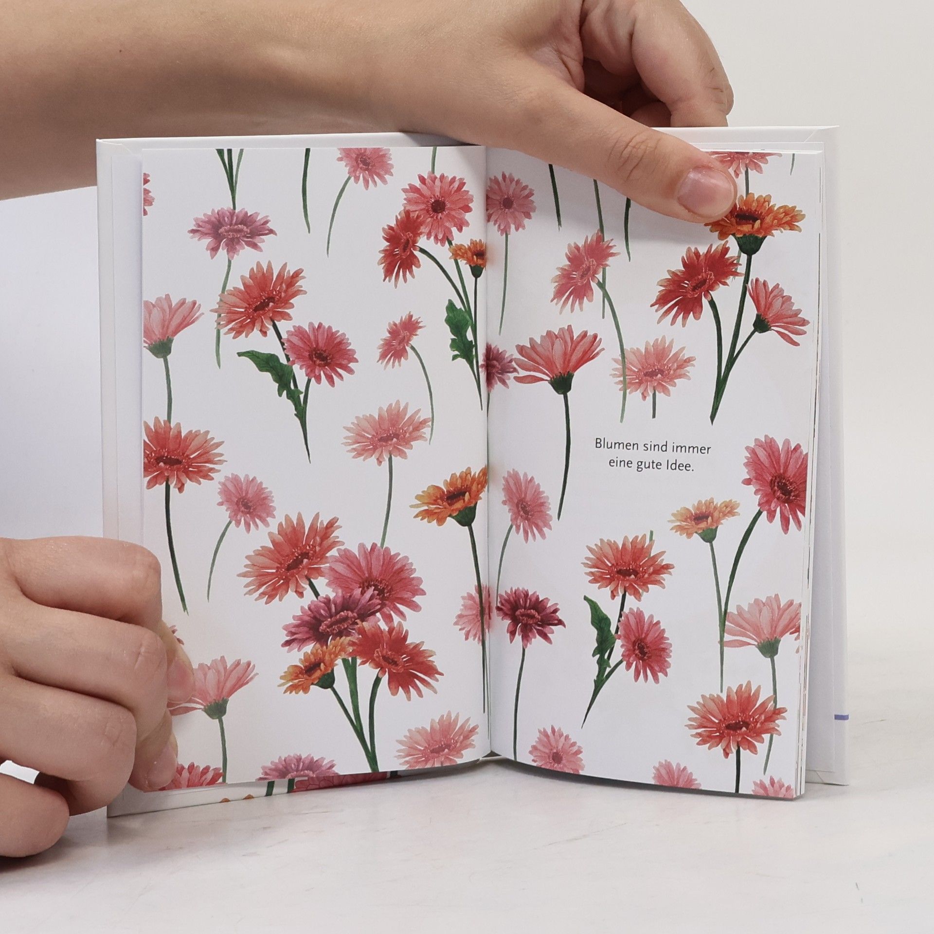 Volker Bauch Deine Lieblingsblume - Gerbera