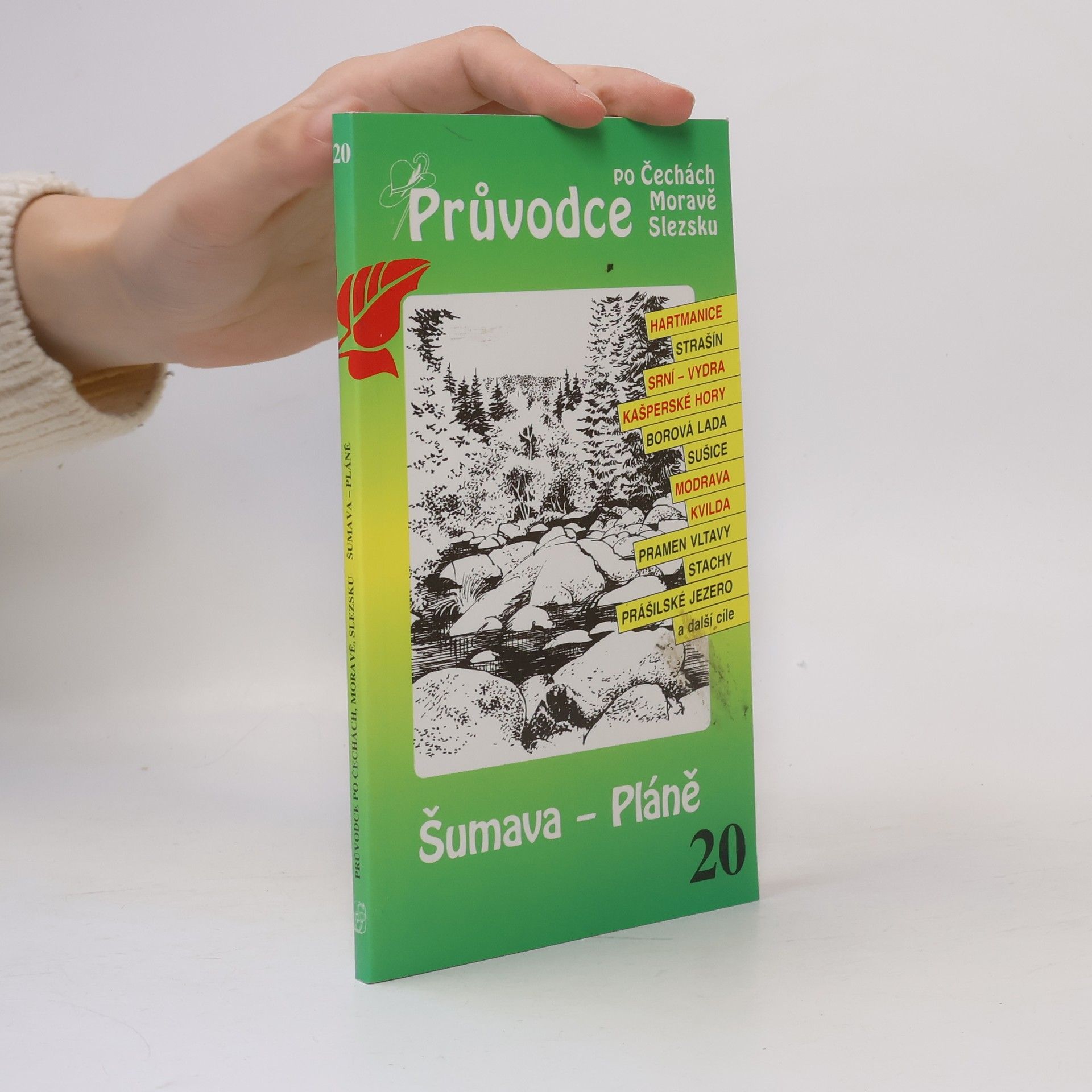 P. David Šumava - Pláně