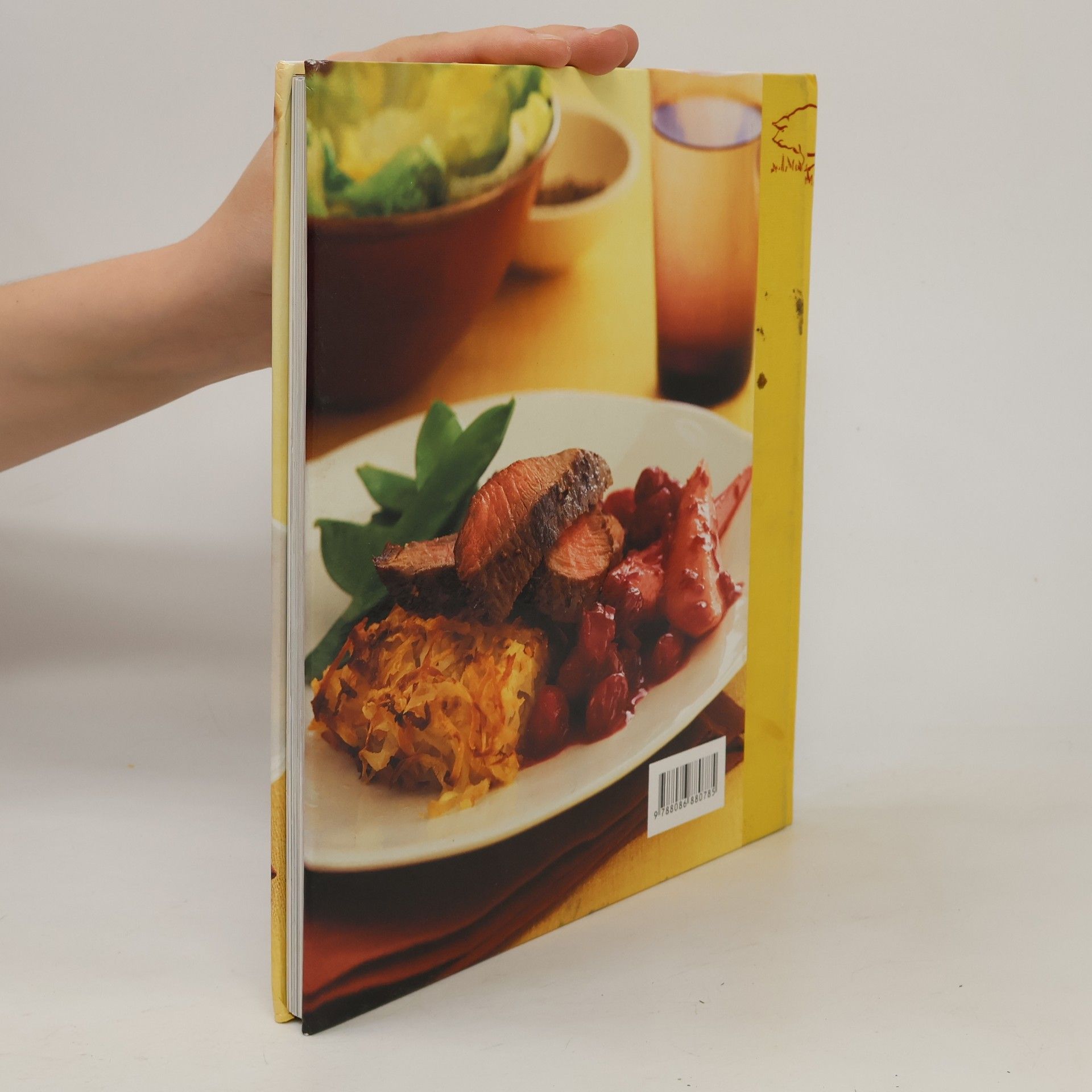 Autorenkollektiv Maso mnoha chutí