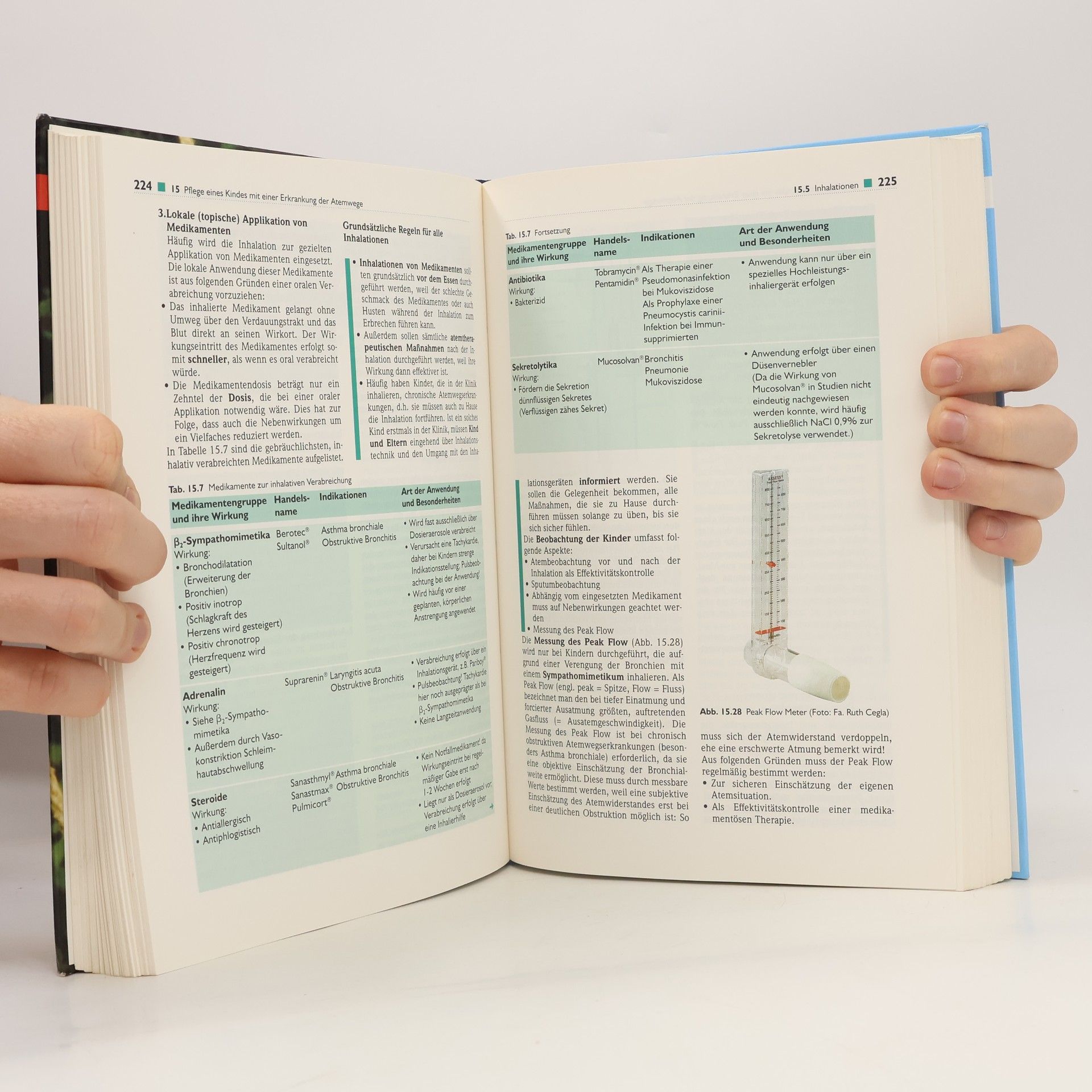 Birgit Brand-Hörsting Das Kinderkrankenpflege-Buch