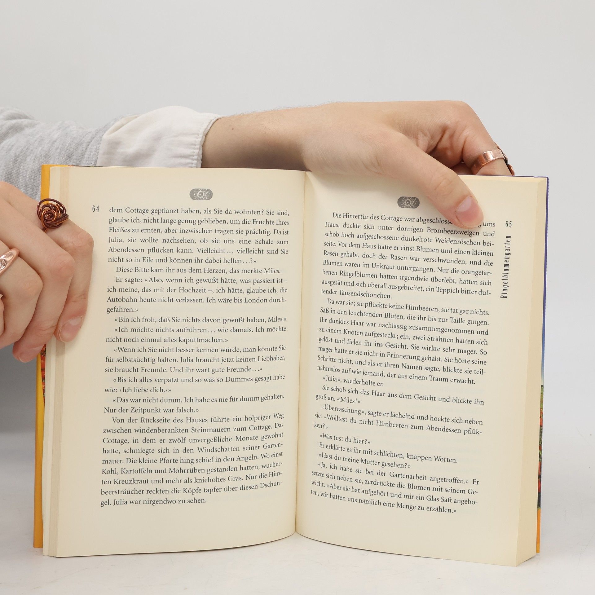Rosamunde Pilcher Sommergeschichten