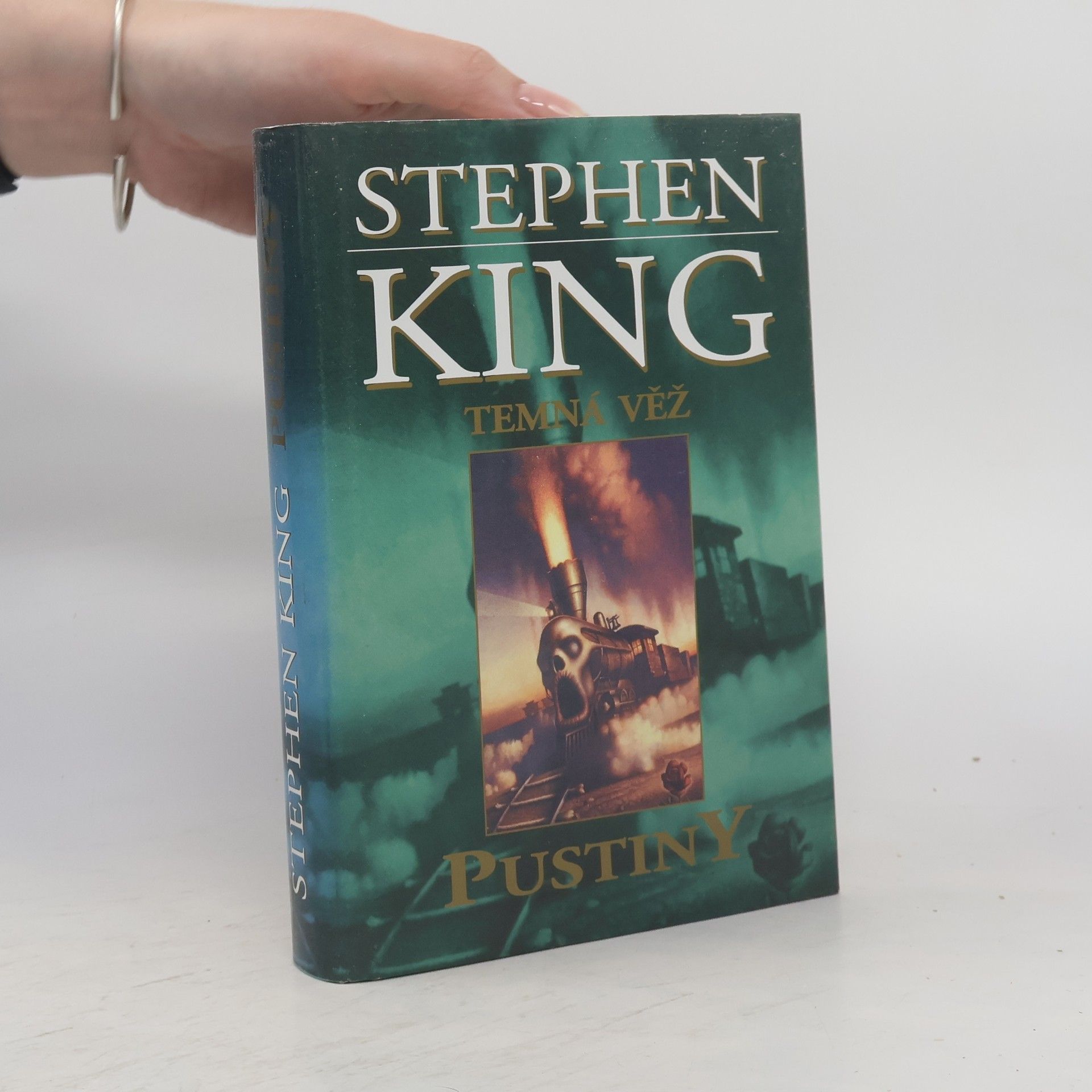 Stephen King Temná věž. Pustiny