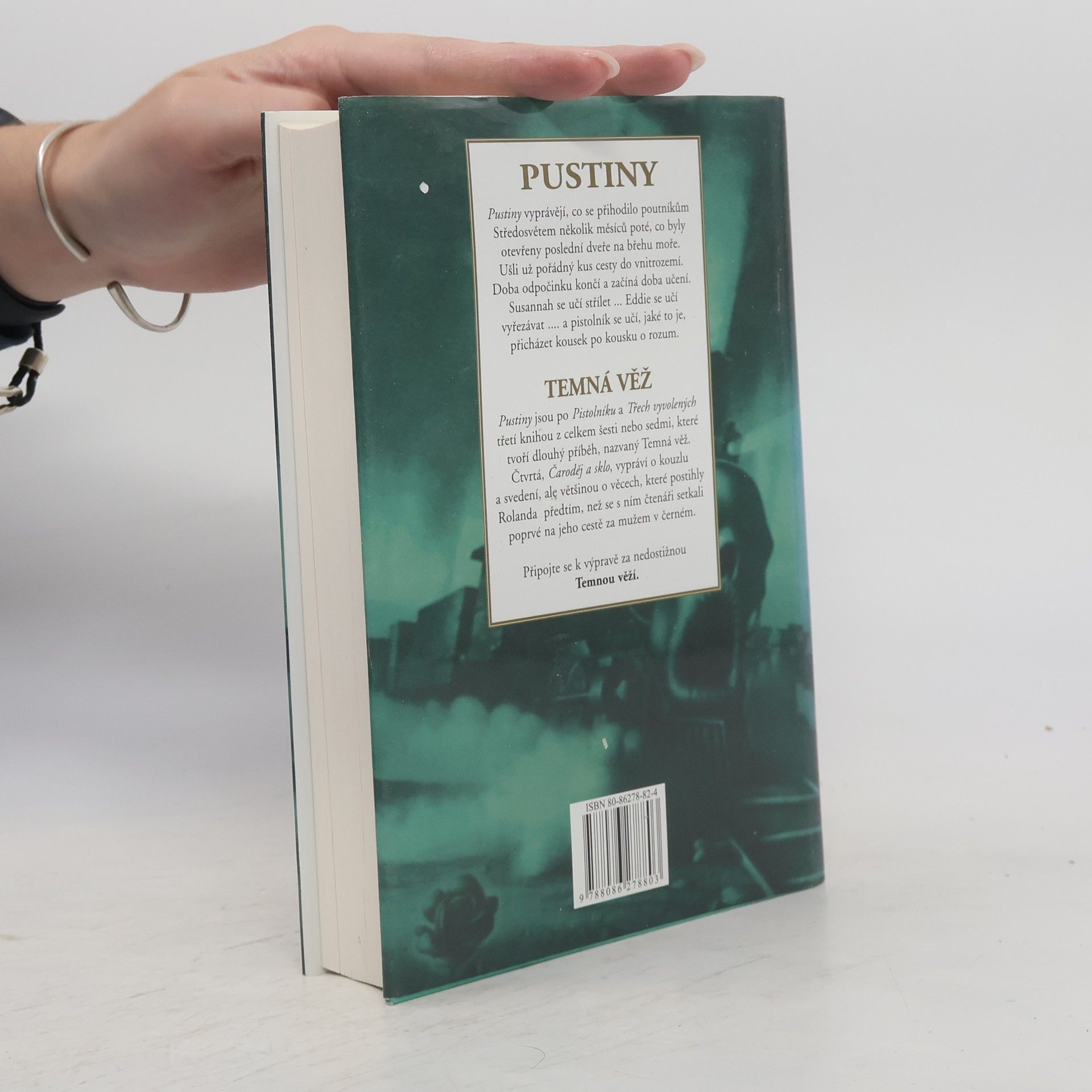Stephen King Temná věž. Pustiny