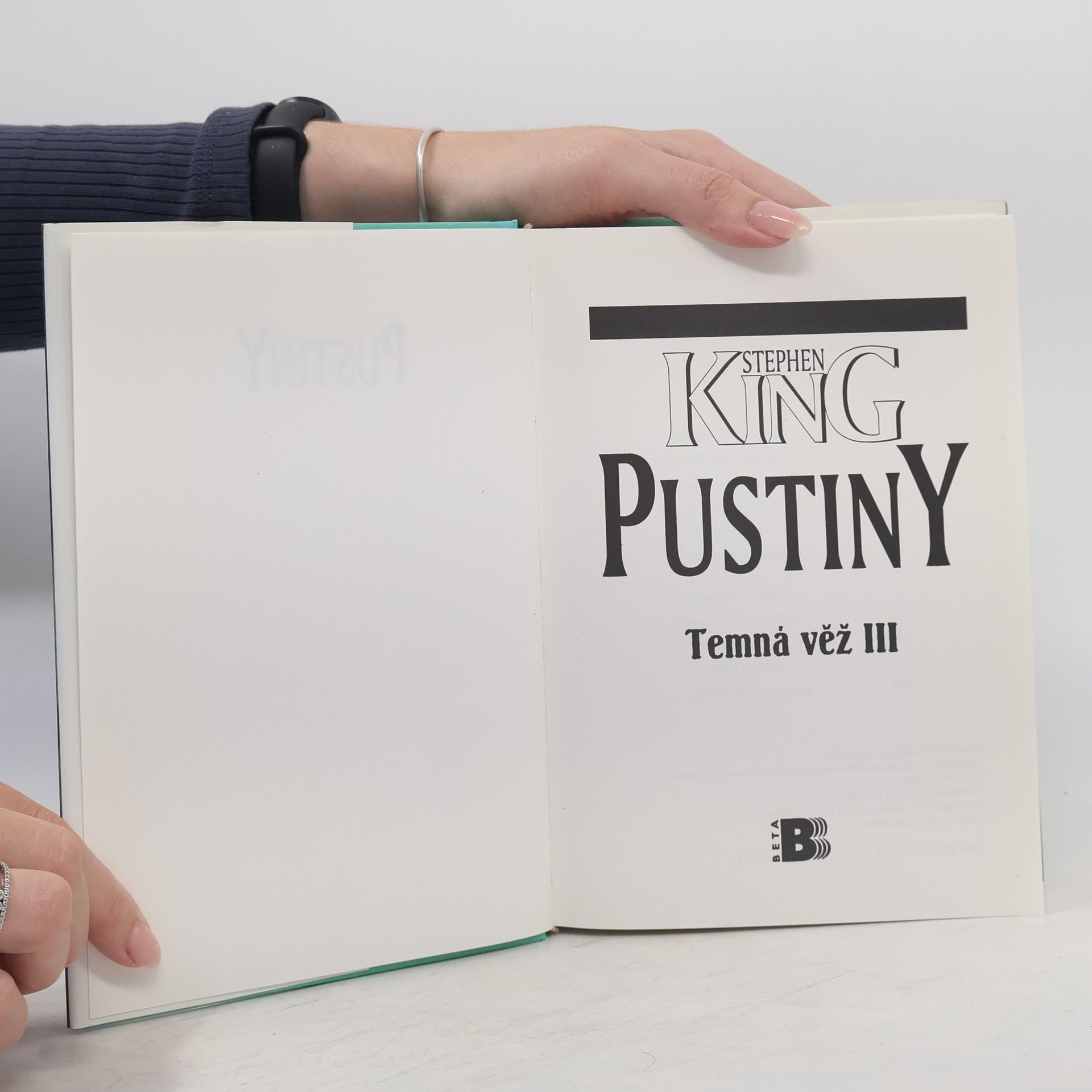 Stephen King Temná věž. Pustiny